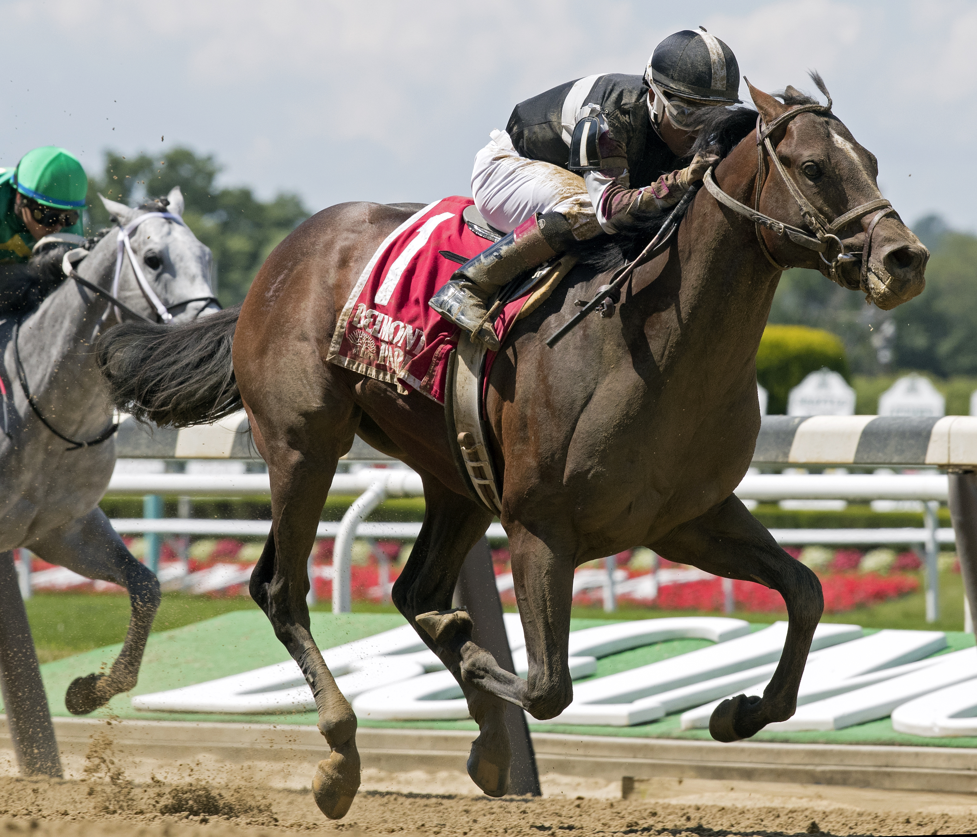 He Hate Me wins the 2017 Tremont Stakes