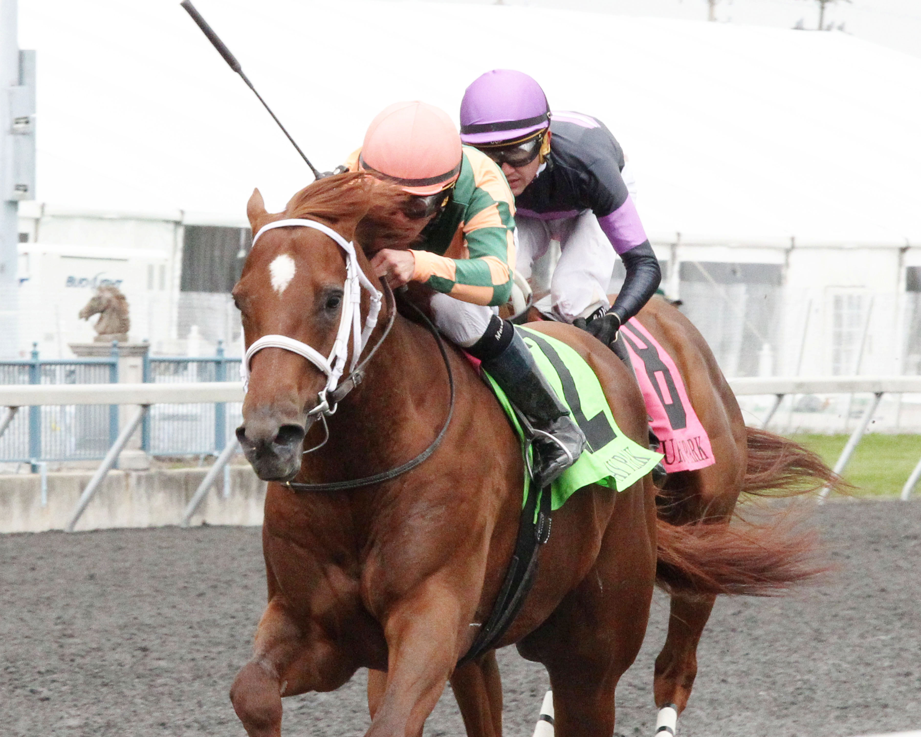He'll Pay wins the Rushaway Stakes