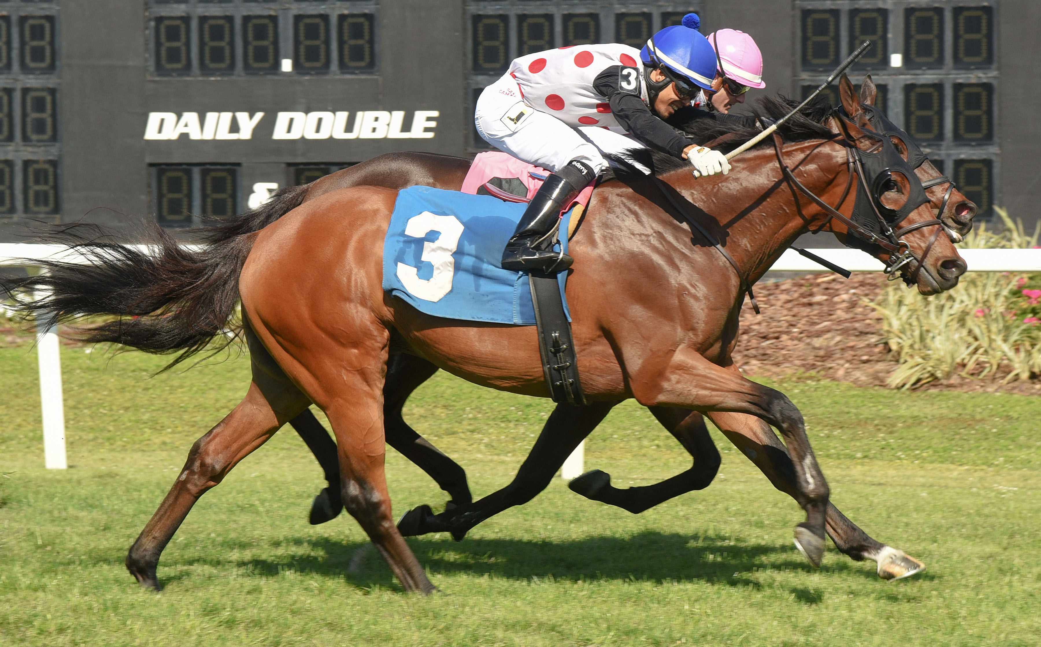 March to the Arch finishes second in the Sophomore Turf Stakes