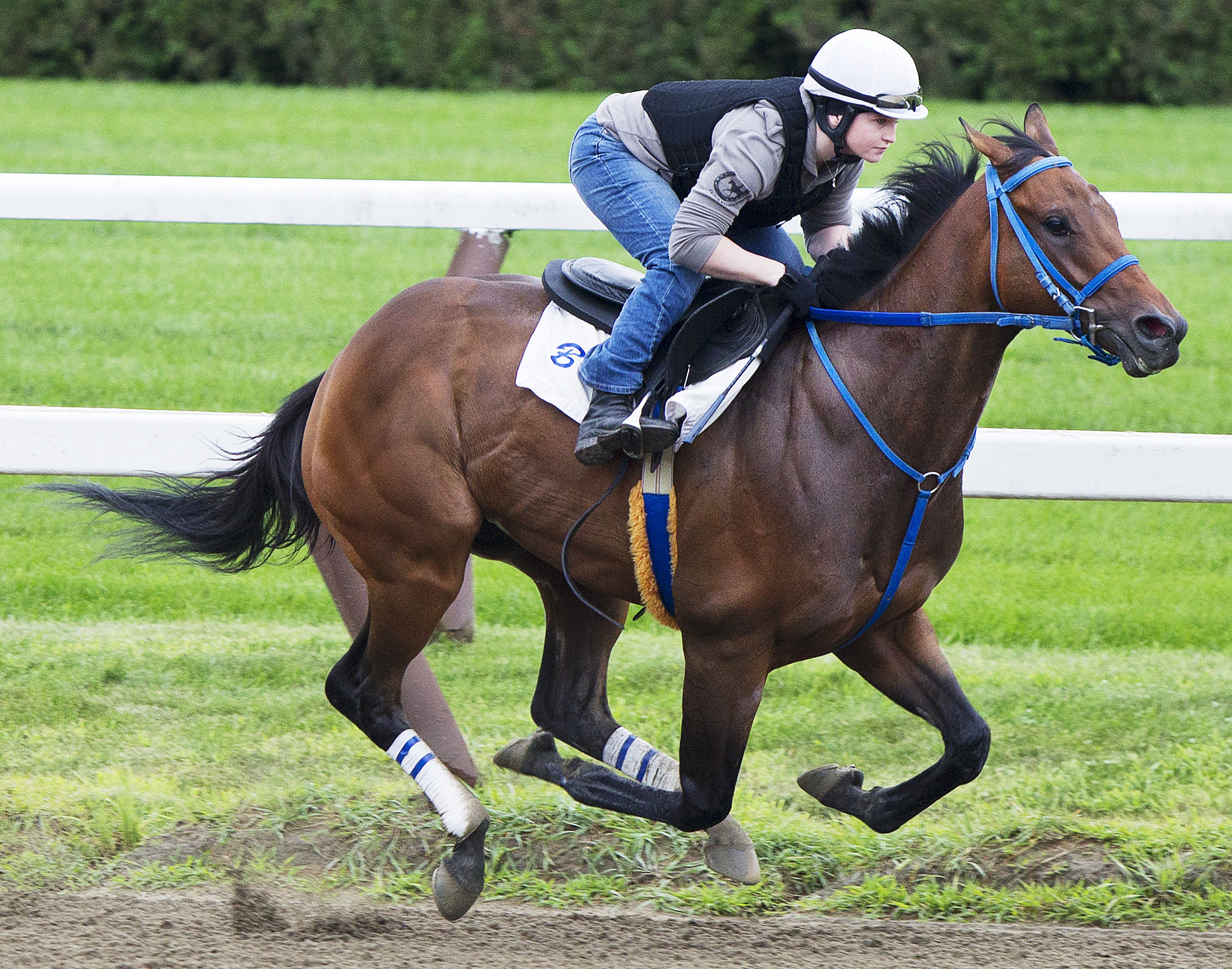 He's Comin in Hot works under Rosie Napravnik at Saratoga