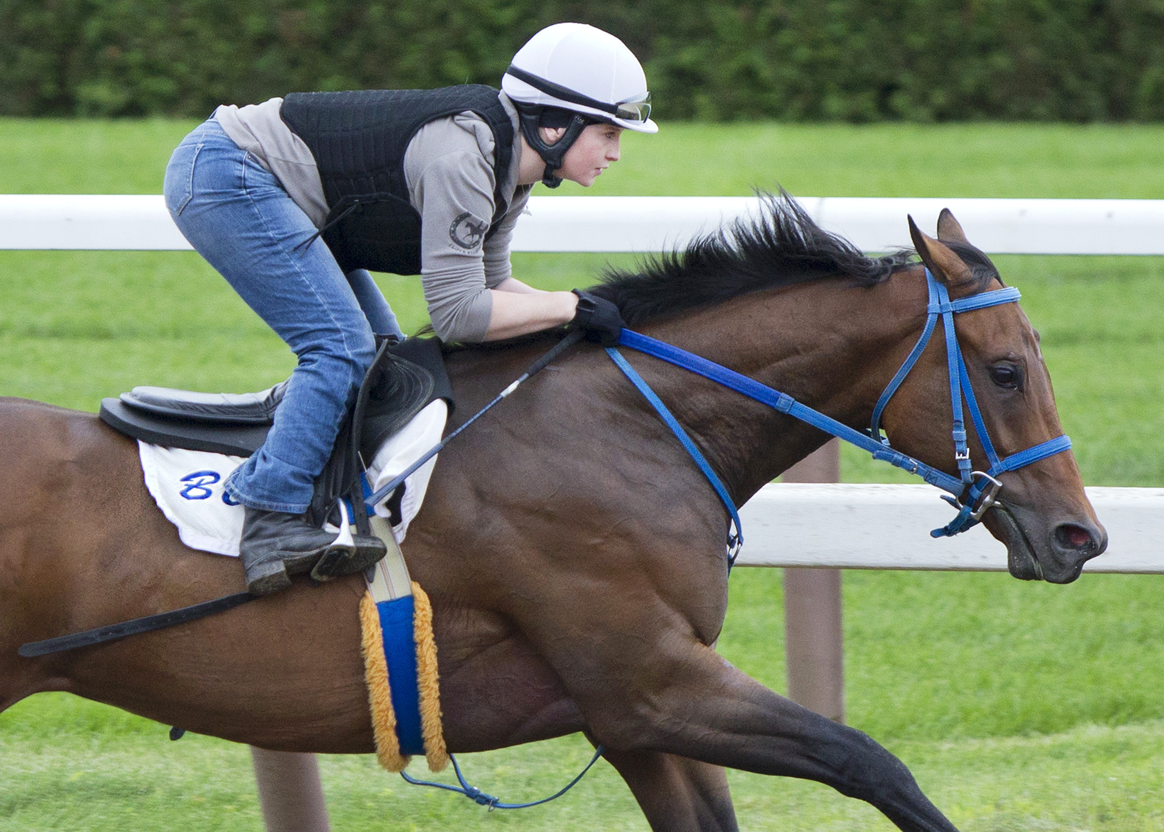 He's Comin in Hot training at Saratoga