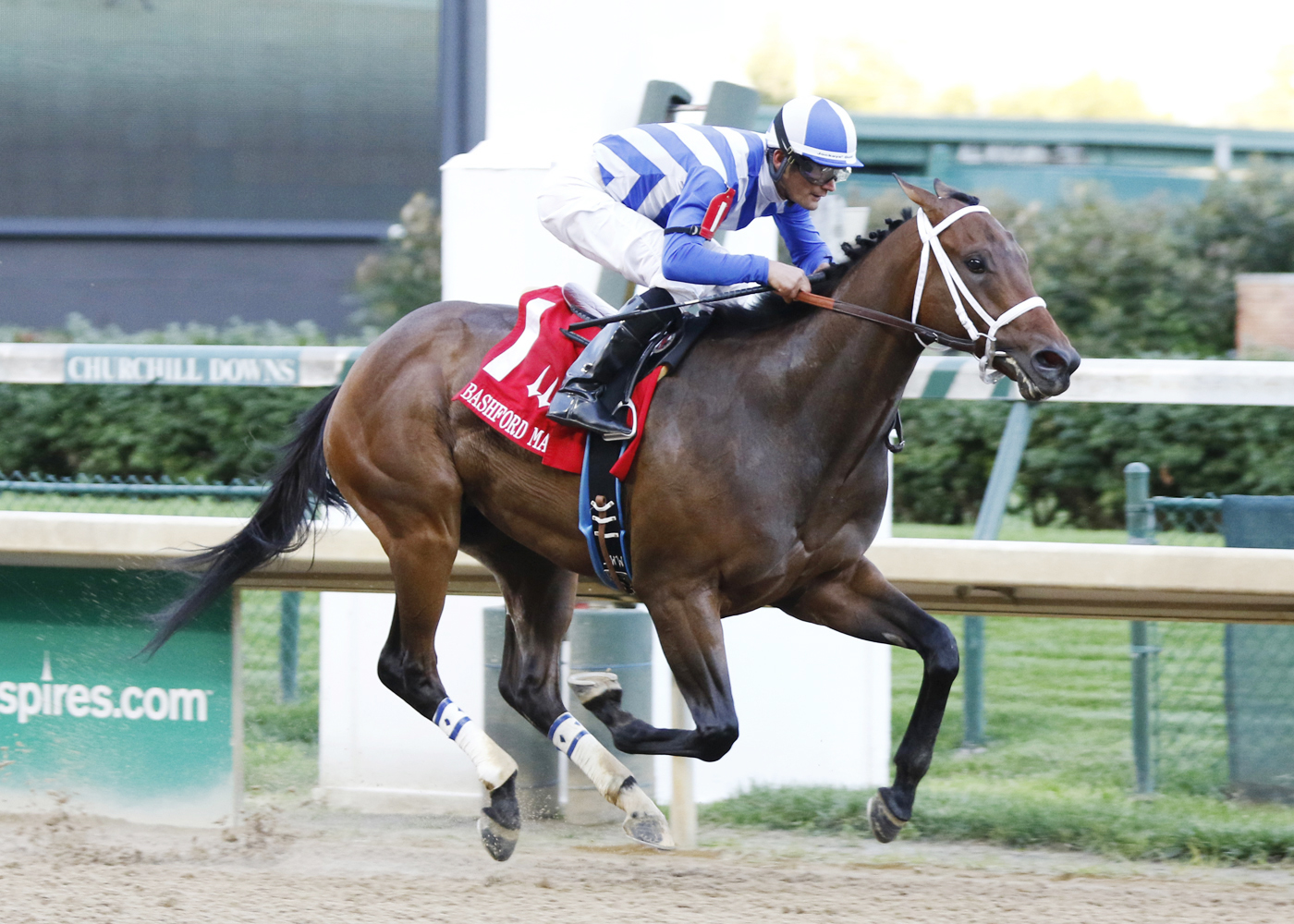 He's Comin in Hot wins the Bashford Manor