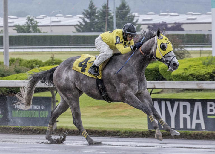 He's Not Grey wins a May 25 claiming race at Emerald Downs