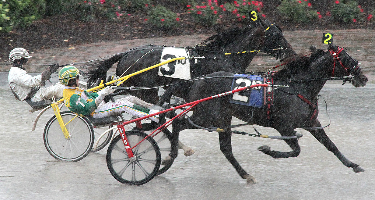 He's Watching_Tioga