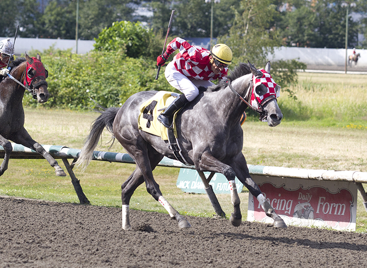 He's the Reason wins the 2019 Lieutenant Governor's Handicap at Hastings Racecourse