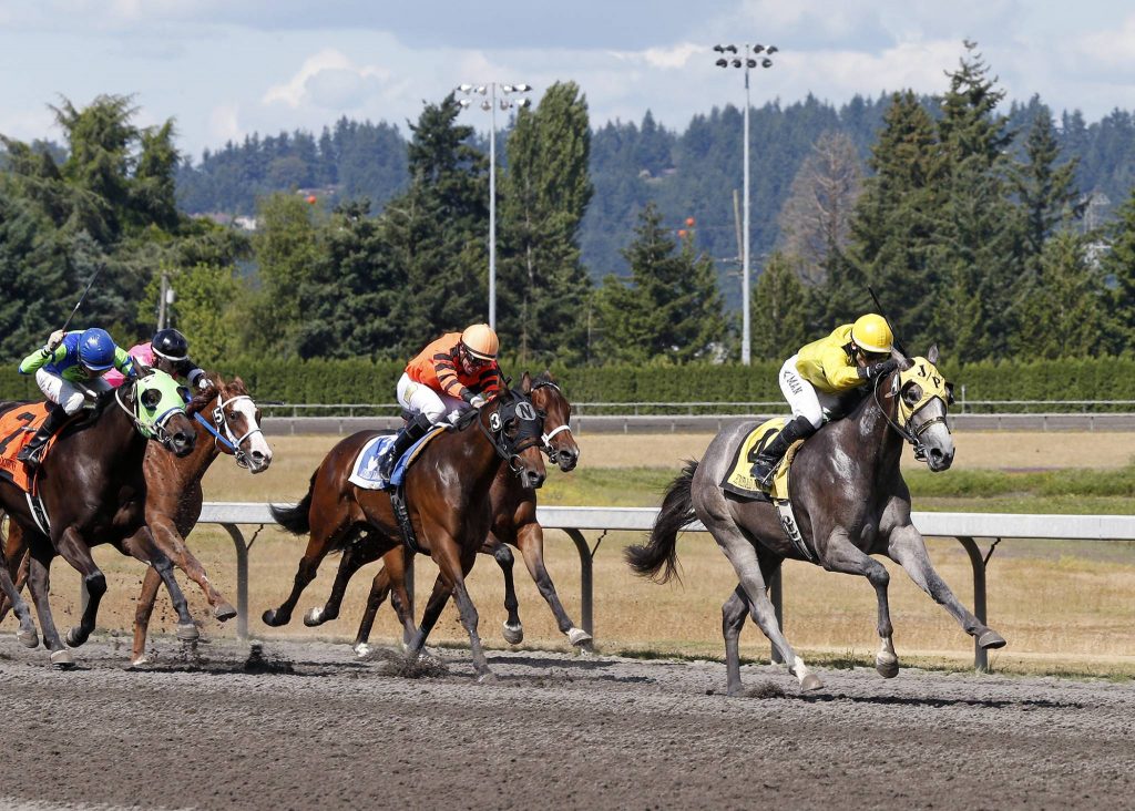 He's_Not_Grey_Emerald_Express_Stakes_7.16.17_RPEMD