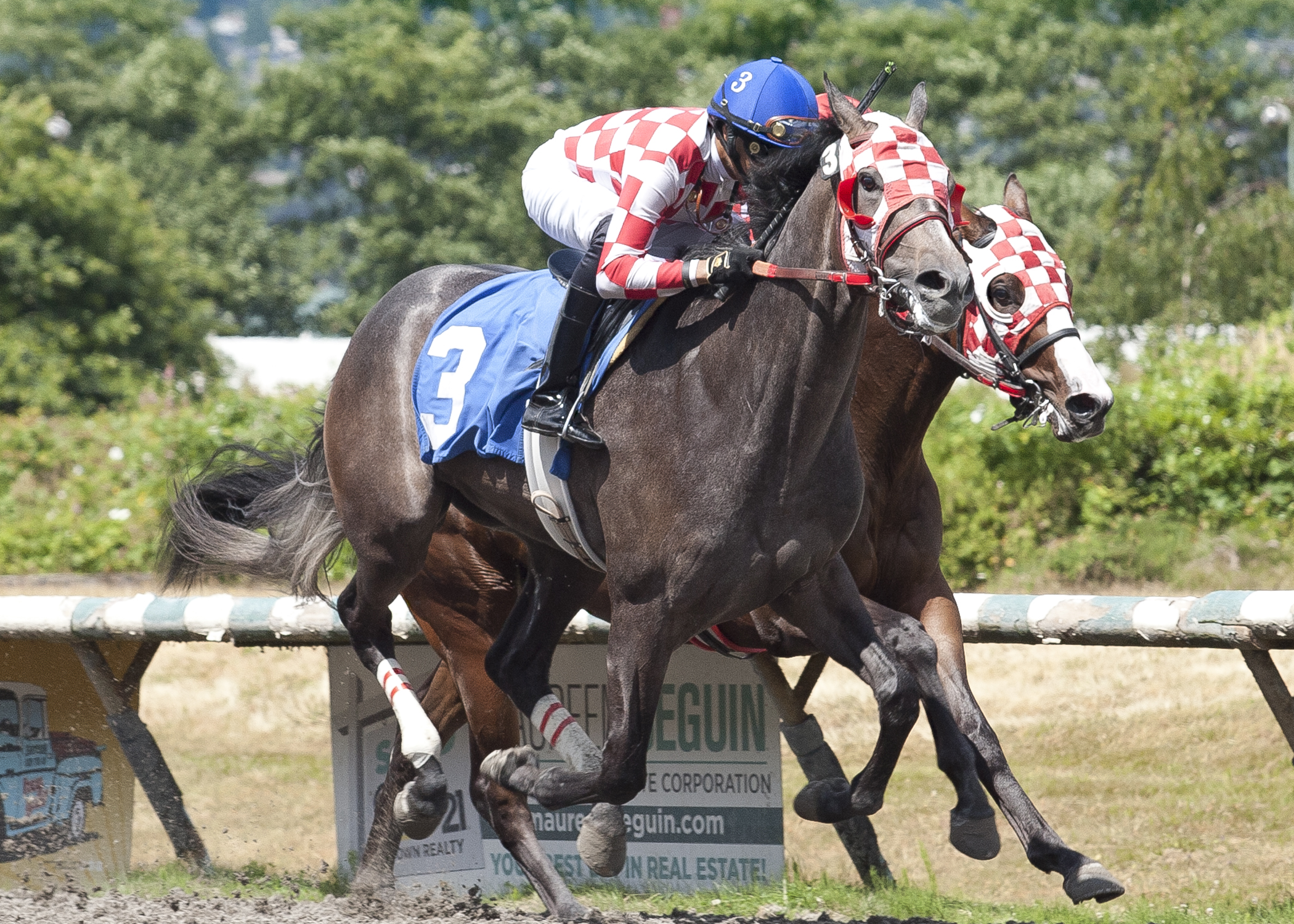 He's_the_Reason_wins_Spaghetti_Mouse_Stks_7.16.17_4FF
