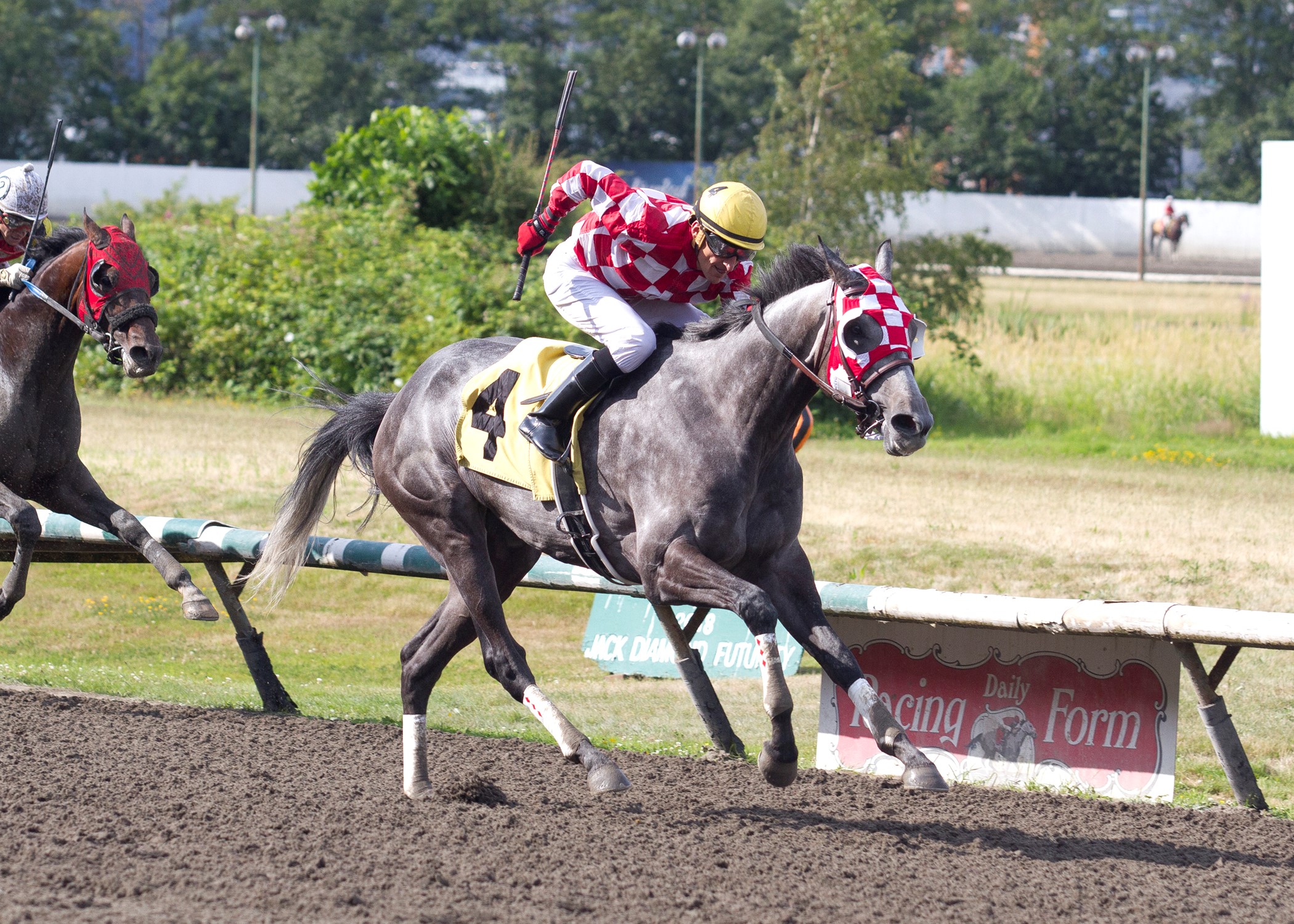 He's the Reason wins the 2019 Lieutenant Governors Stakes
