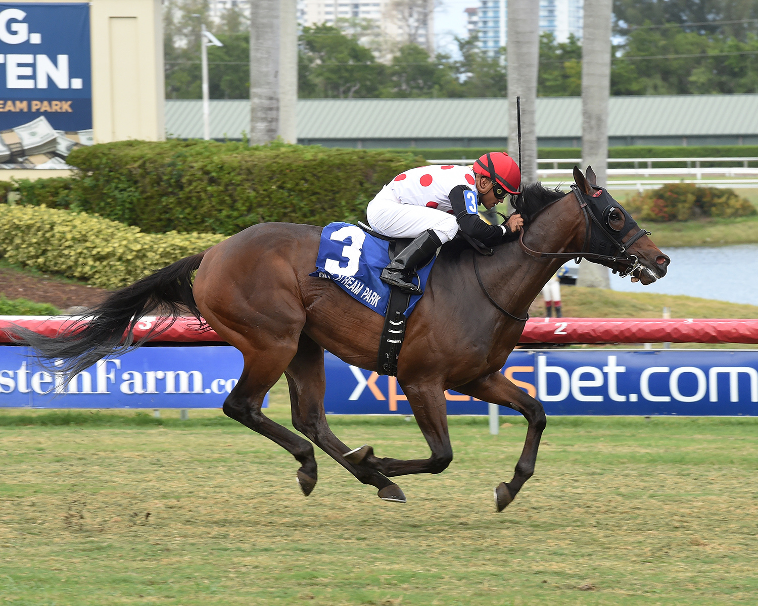 He-s Bankable wins the 2018 English Channel