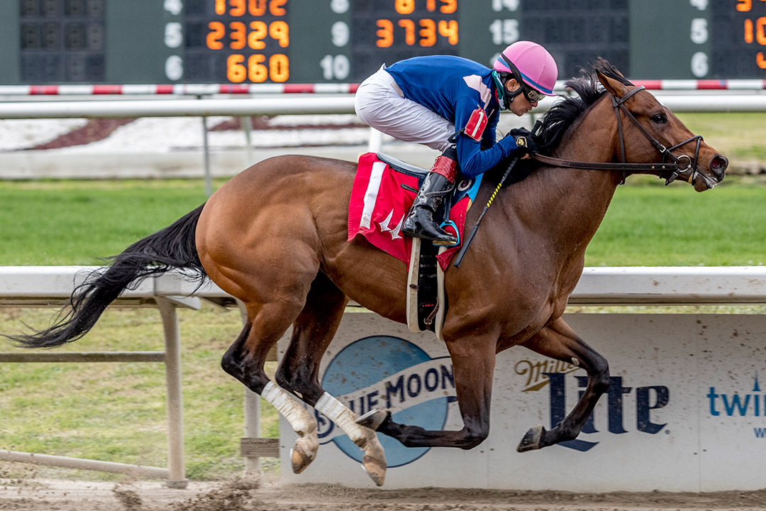He's In Charge wins a Jan. 30 maiden race at Fair Grounds