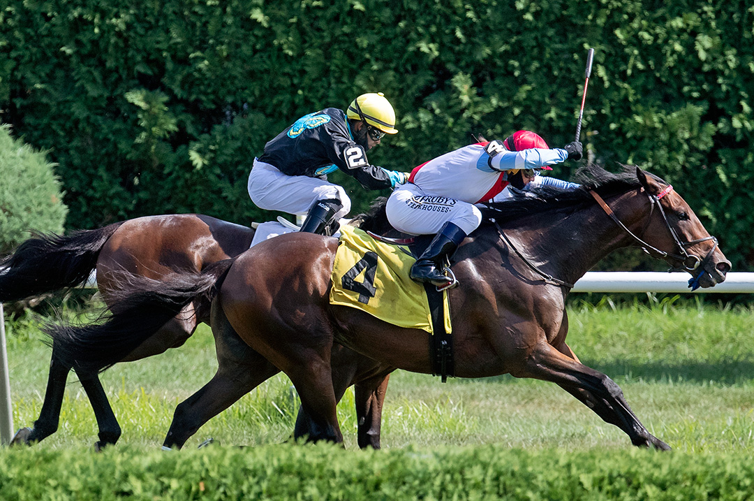 He's No Lemon (4) wins an Aug. 16 allowance/optional claimer at Saratoga