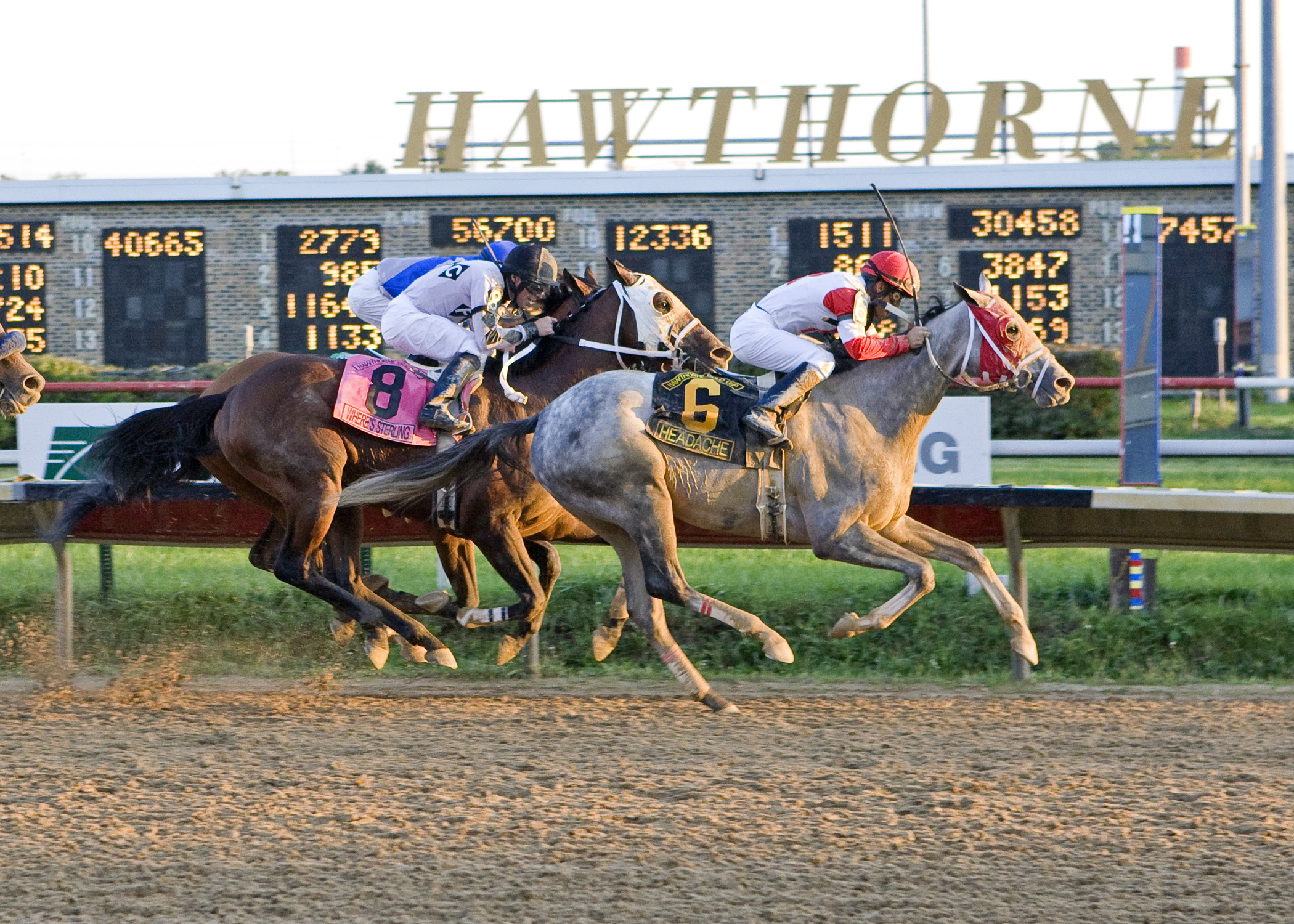 Headache/Gold Cup