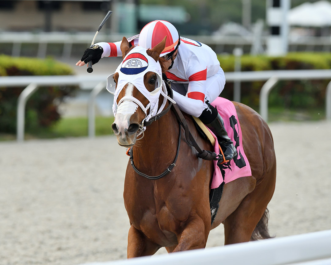 Headline Hunter wins the 2022 Captiva Island Stakes at Gulfstream