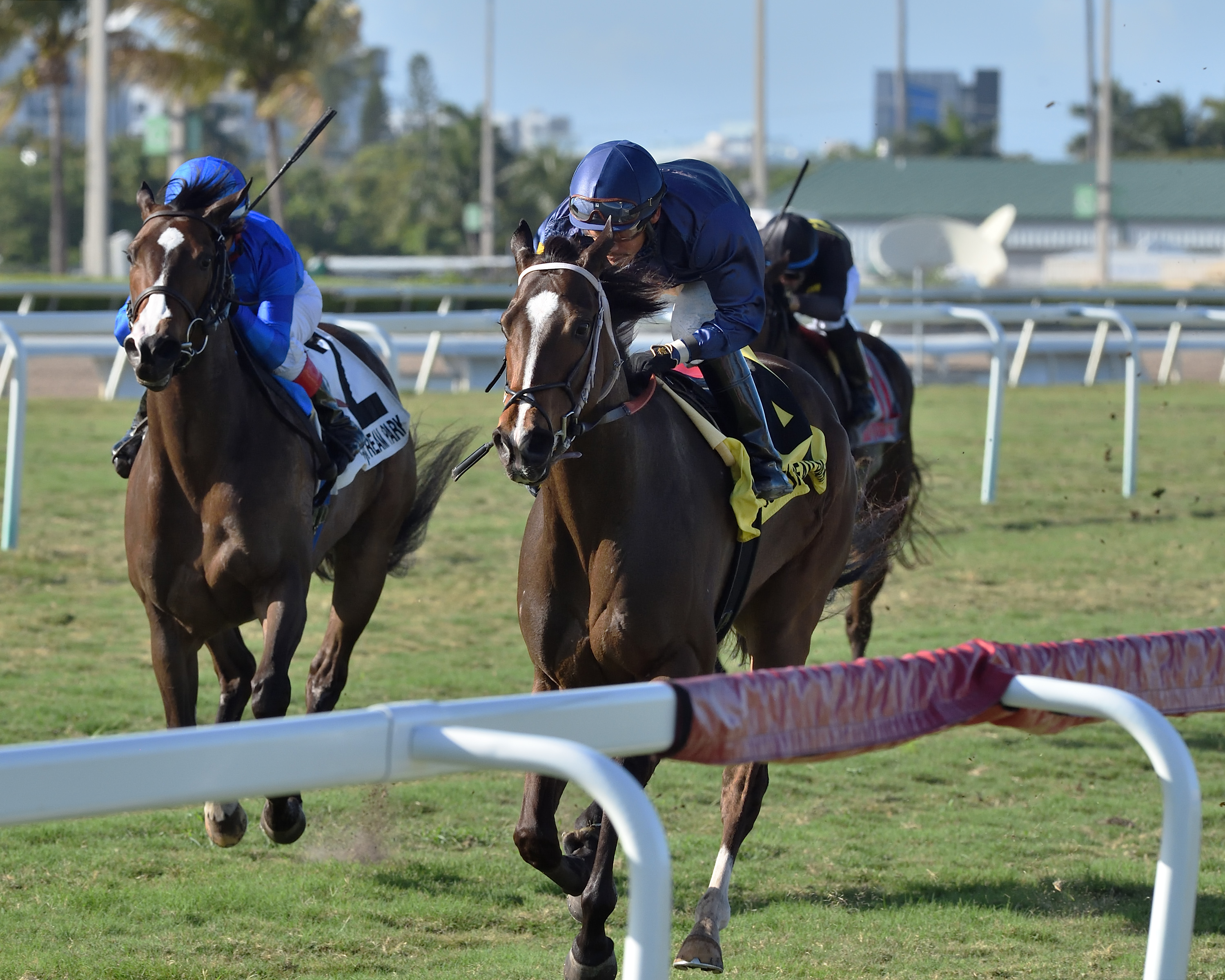 Hear My Prayer wins the 2020 Melody of Colors Stakes