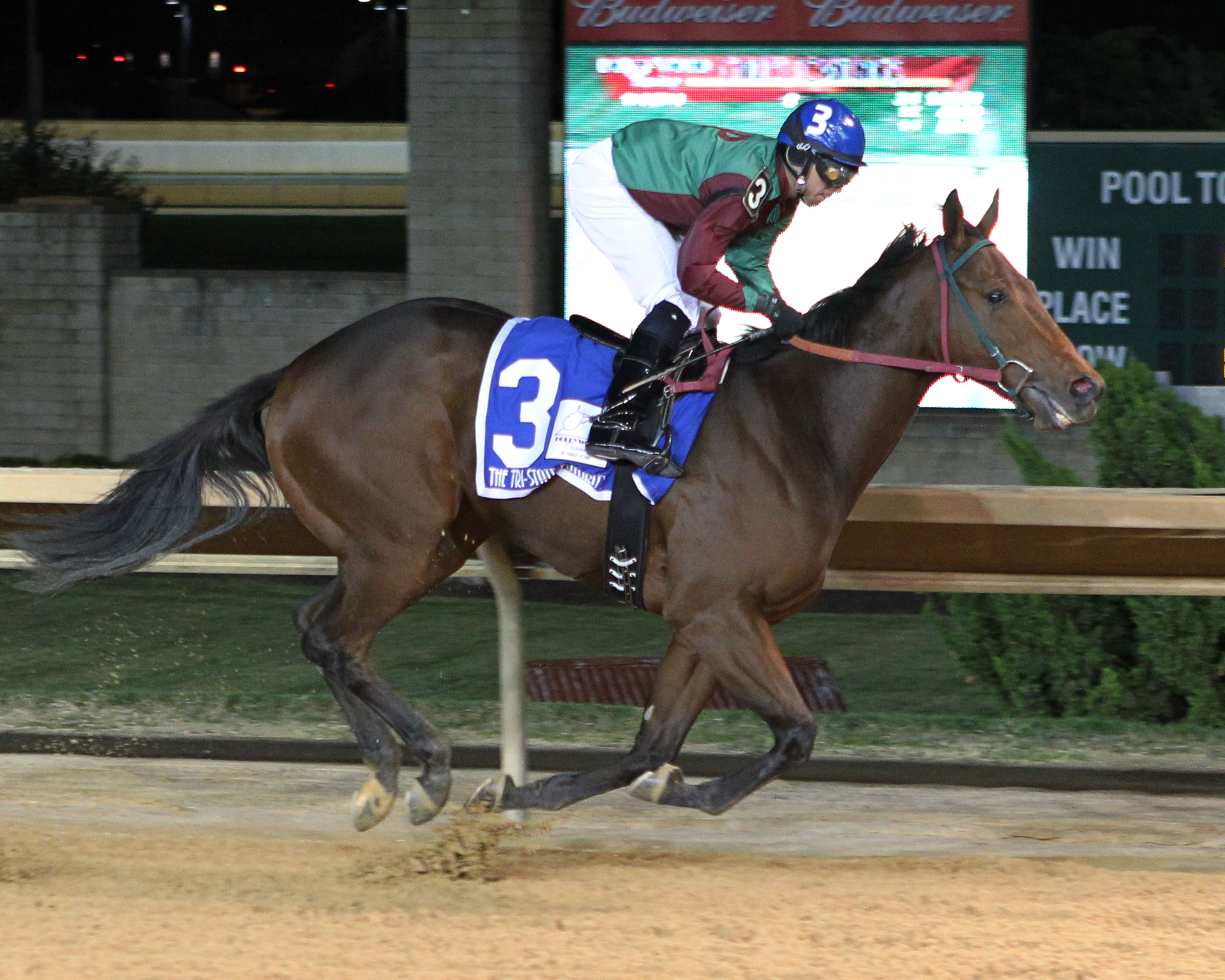 Hear the Chatter wins 2014 Tri-State Futurity males