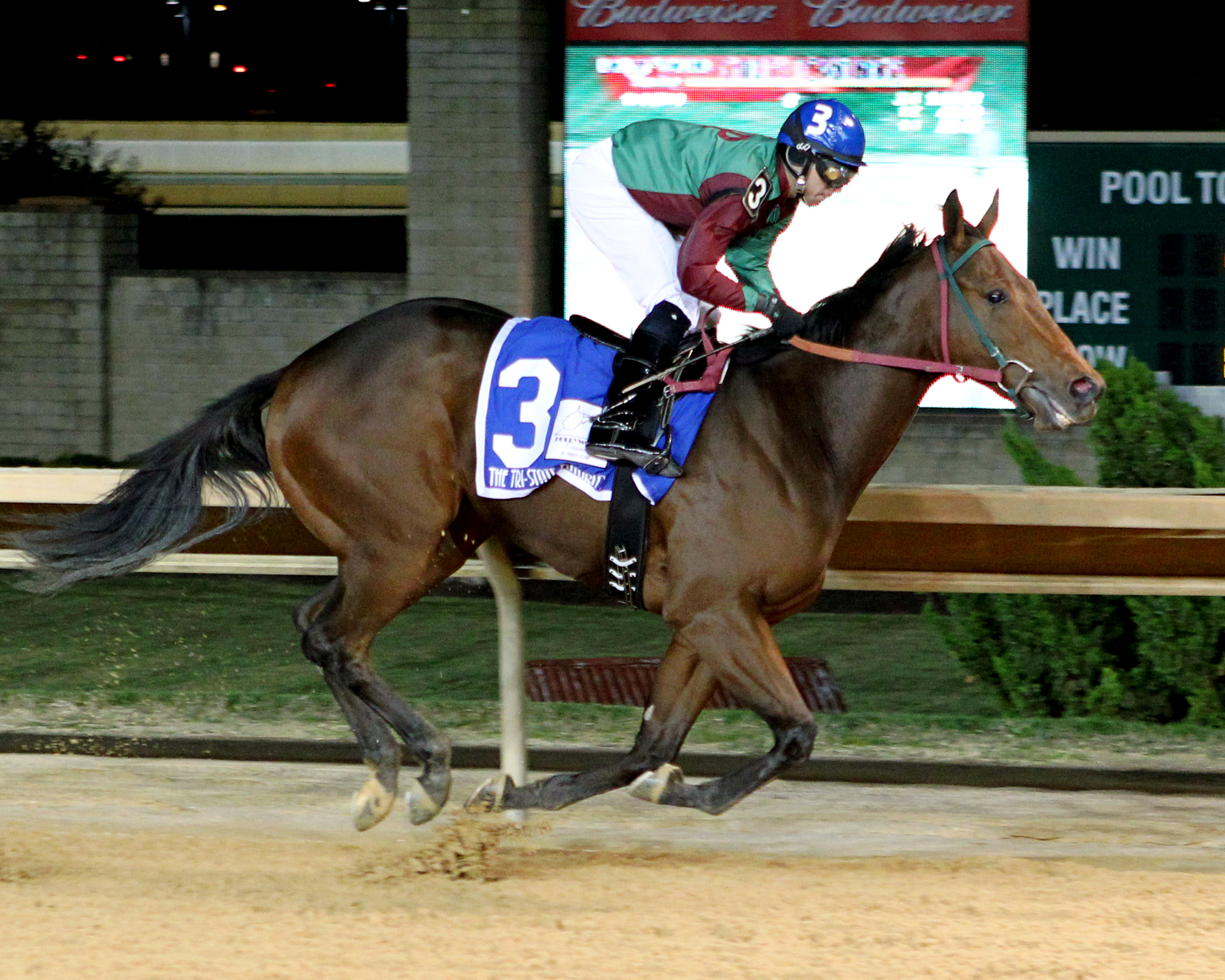 Hear the Chatter wins the Tri-State Futurity