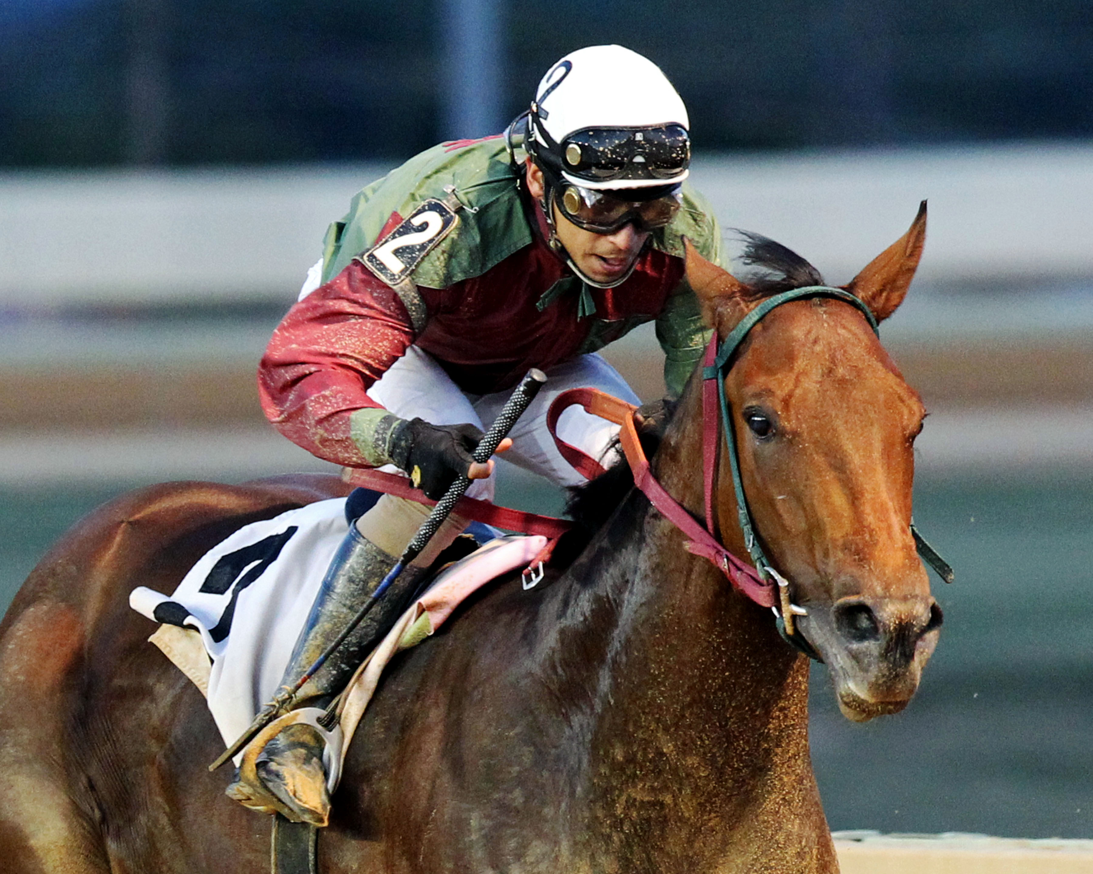 Hear the Chatter wins the Henry Mercer Memorial Stakes