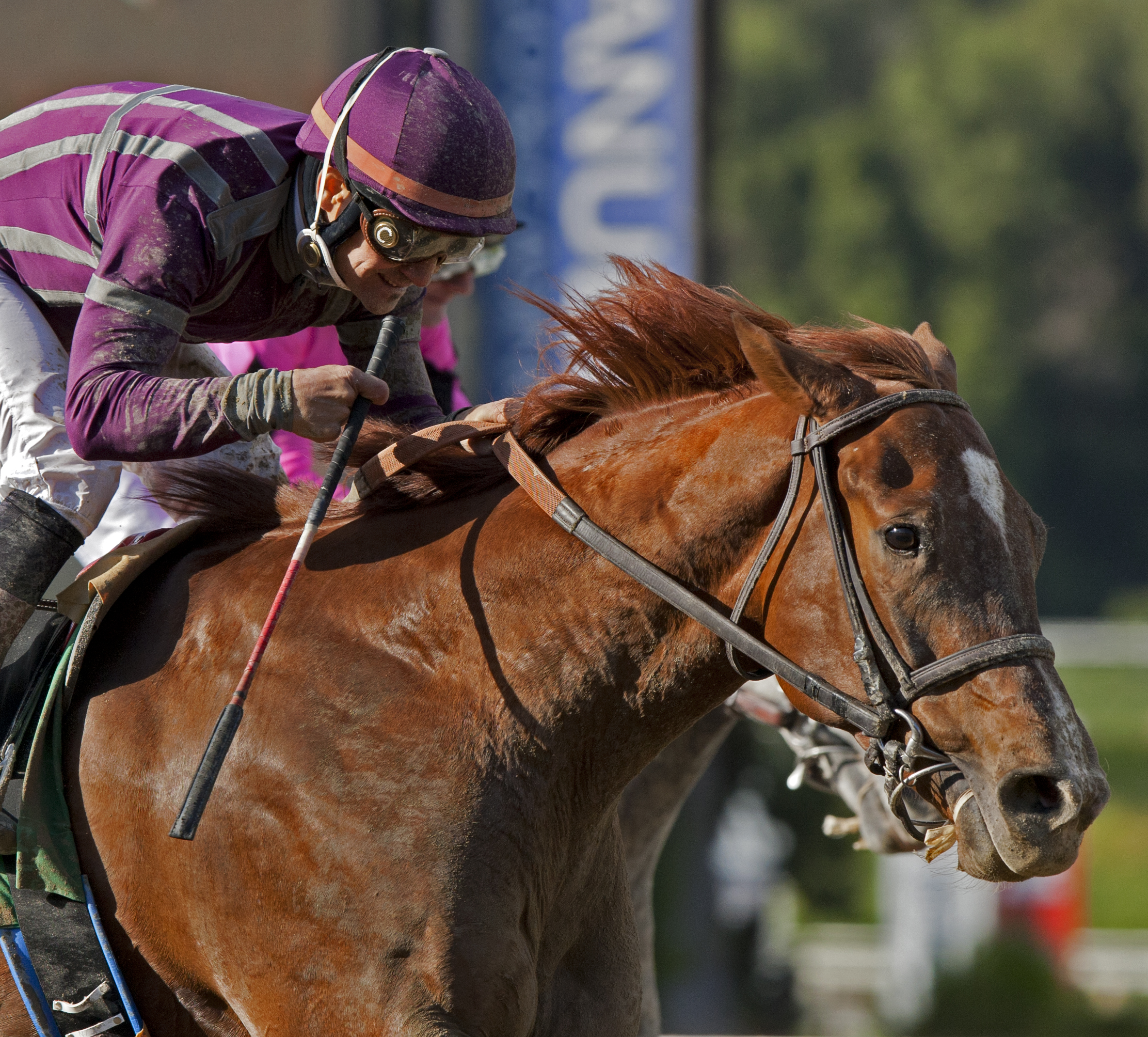 Hear the Ghost wins the San Felipe