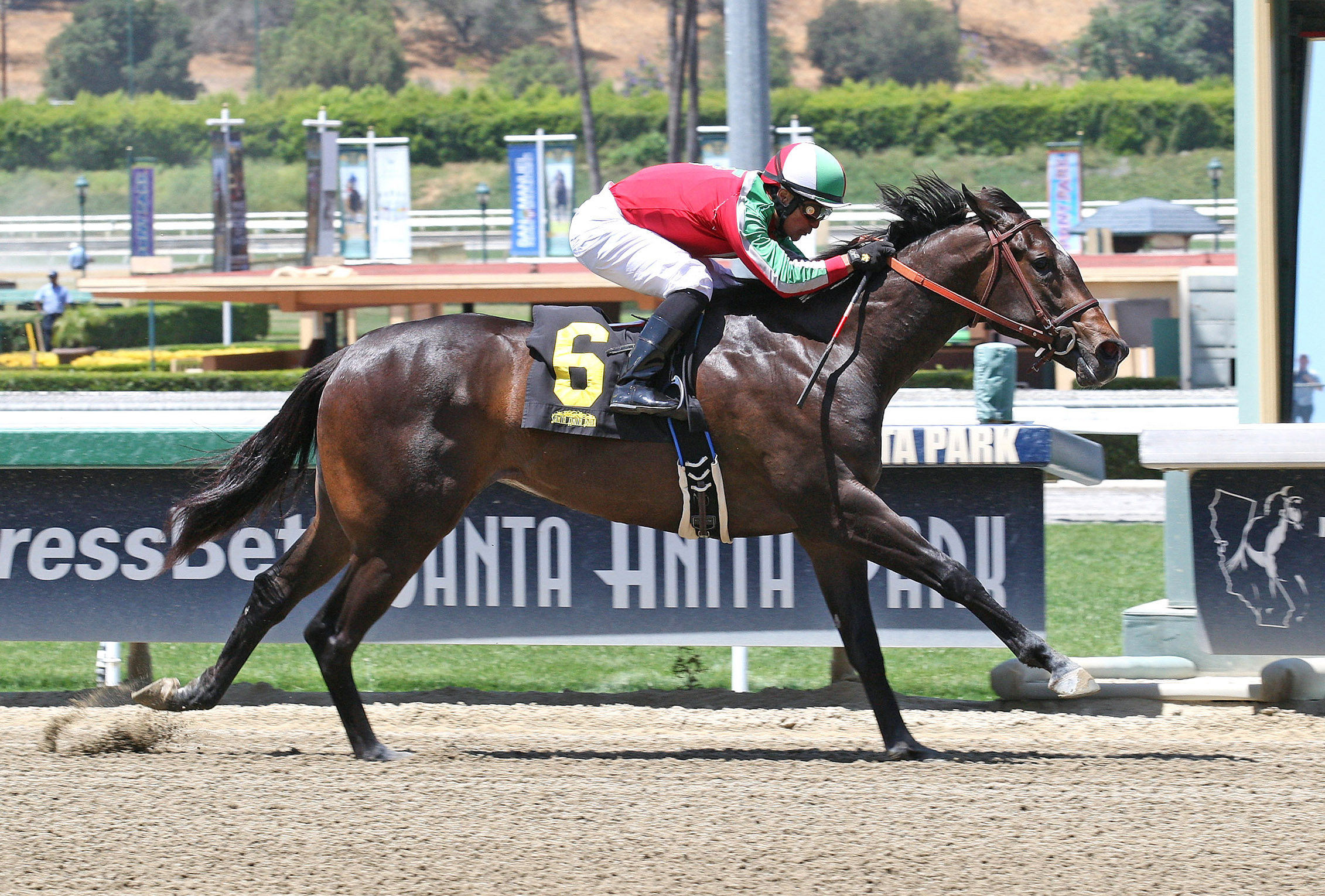 Heart of Paradise wins a maiden race