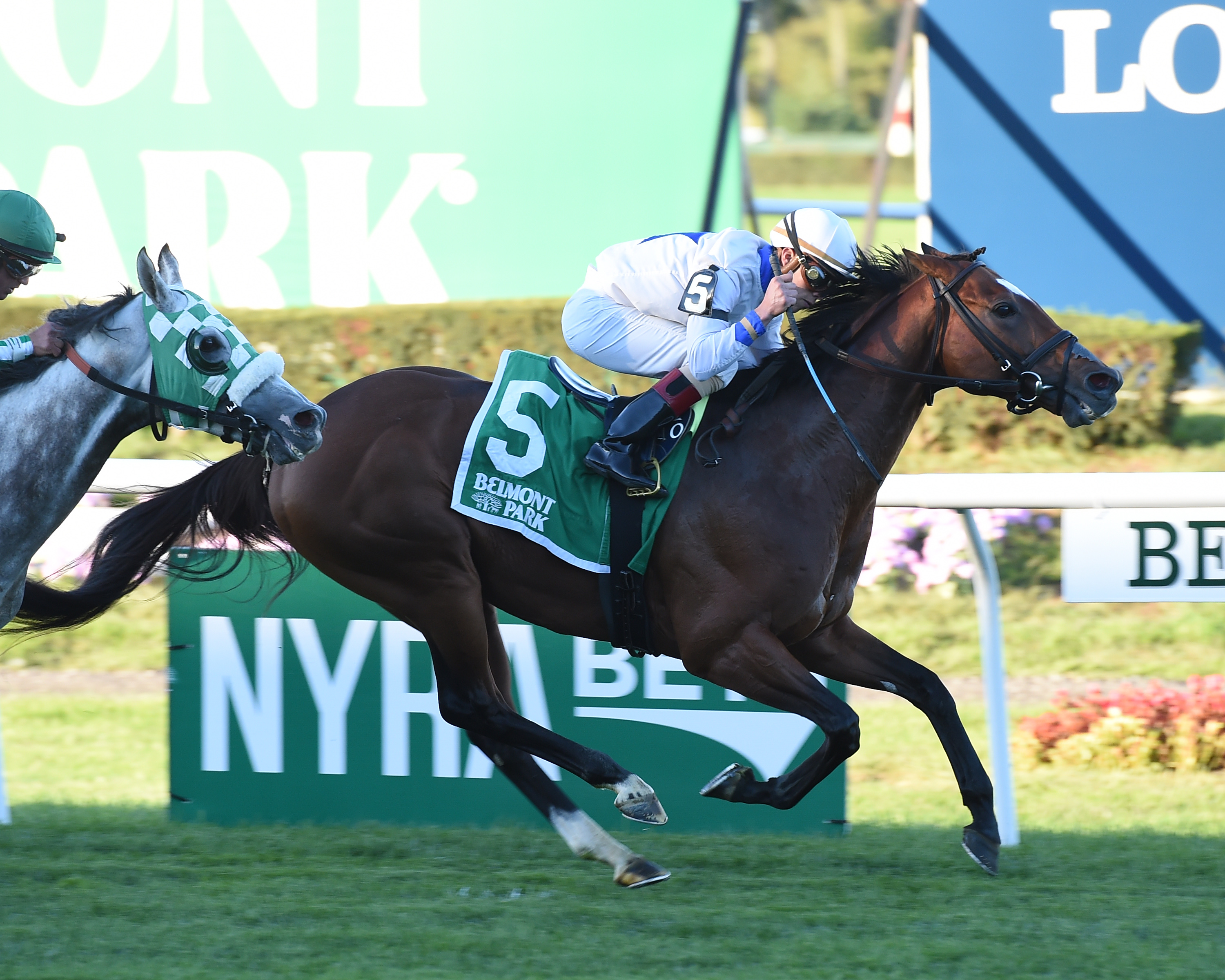 Heart to Heart wins the Knickerbocker