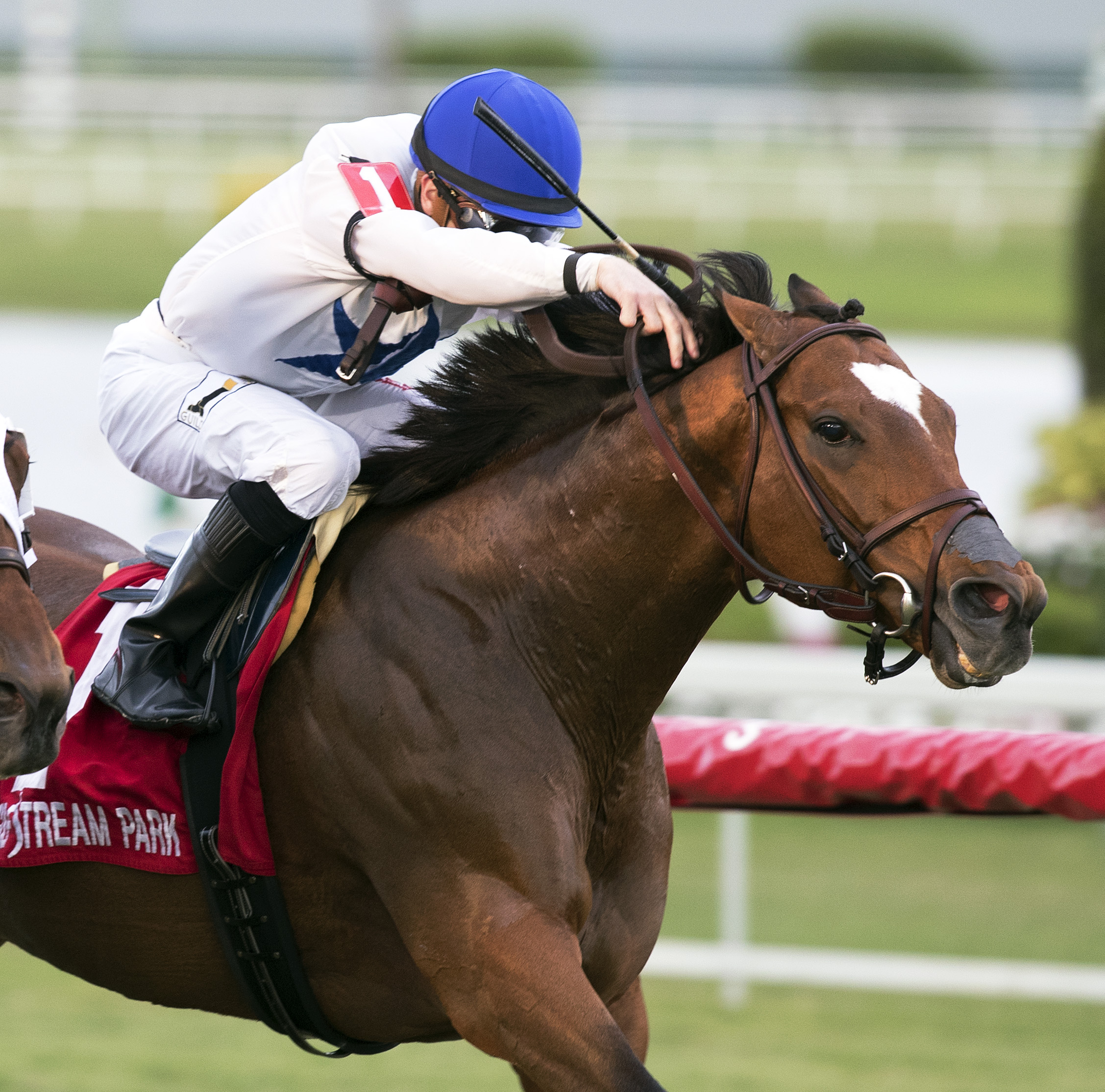 Heart to Heart finishes fourth in the Fort Lauderdale Stakes