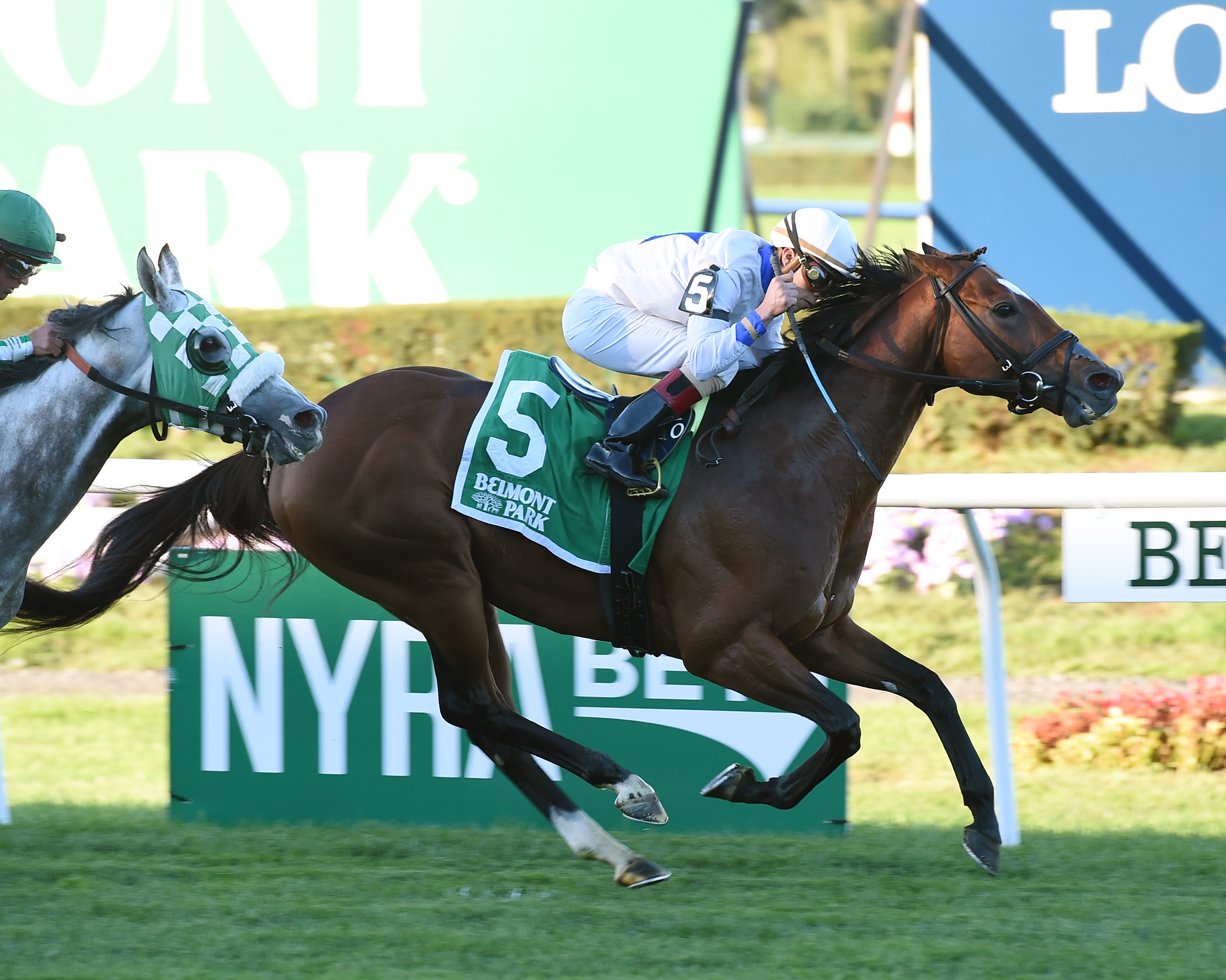 Heart to Heart wins the Knickerbocker