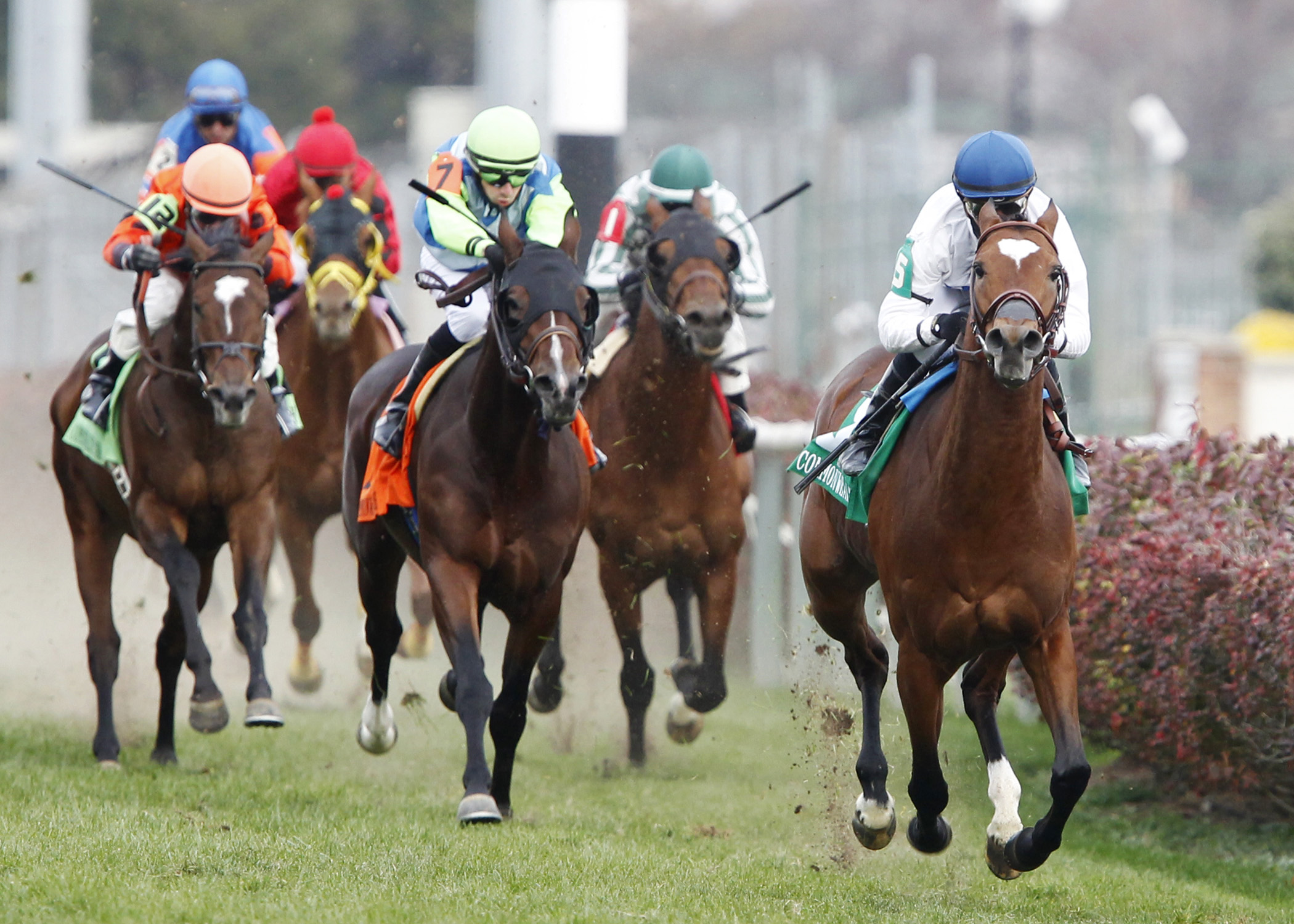 Heart to Heart wins the Commonwealth Turf
