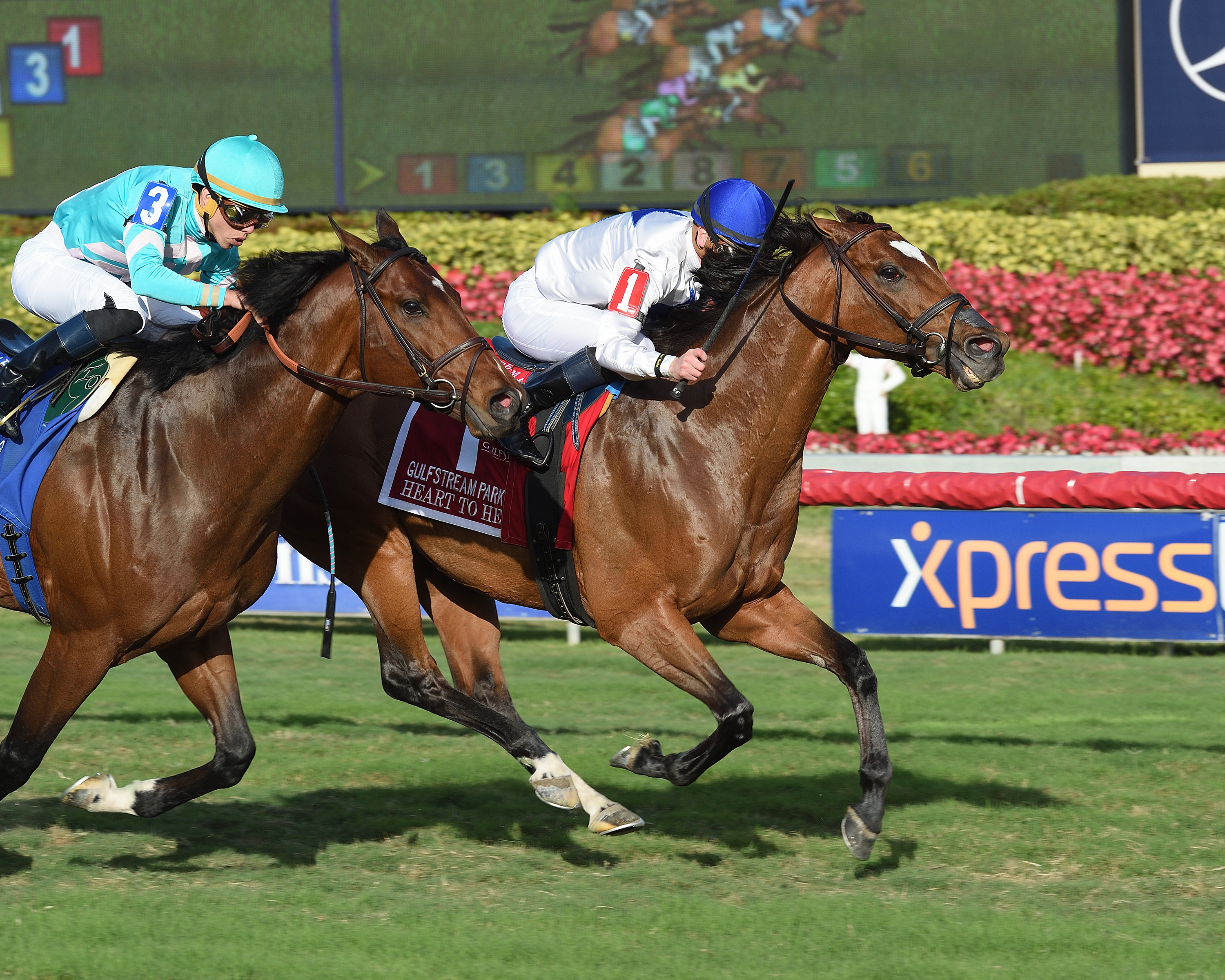 Heart to Heart wins the 2018 Gulfstream Park Turf Handicap
