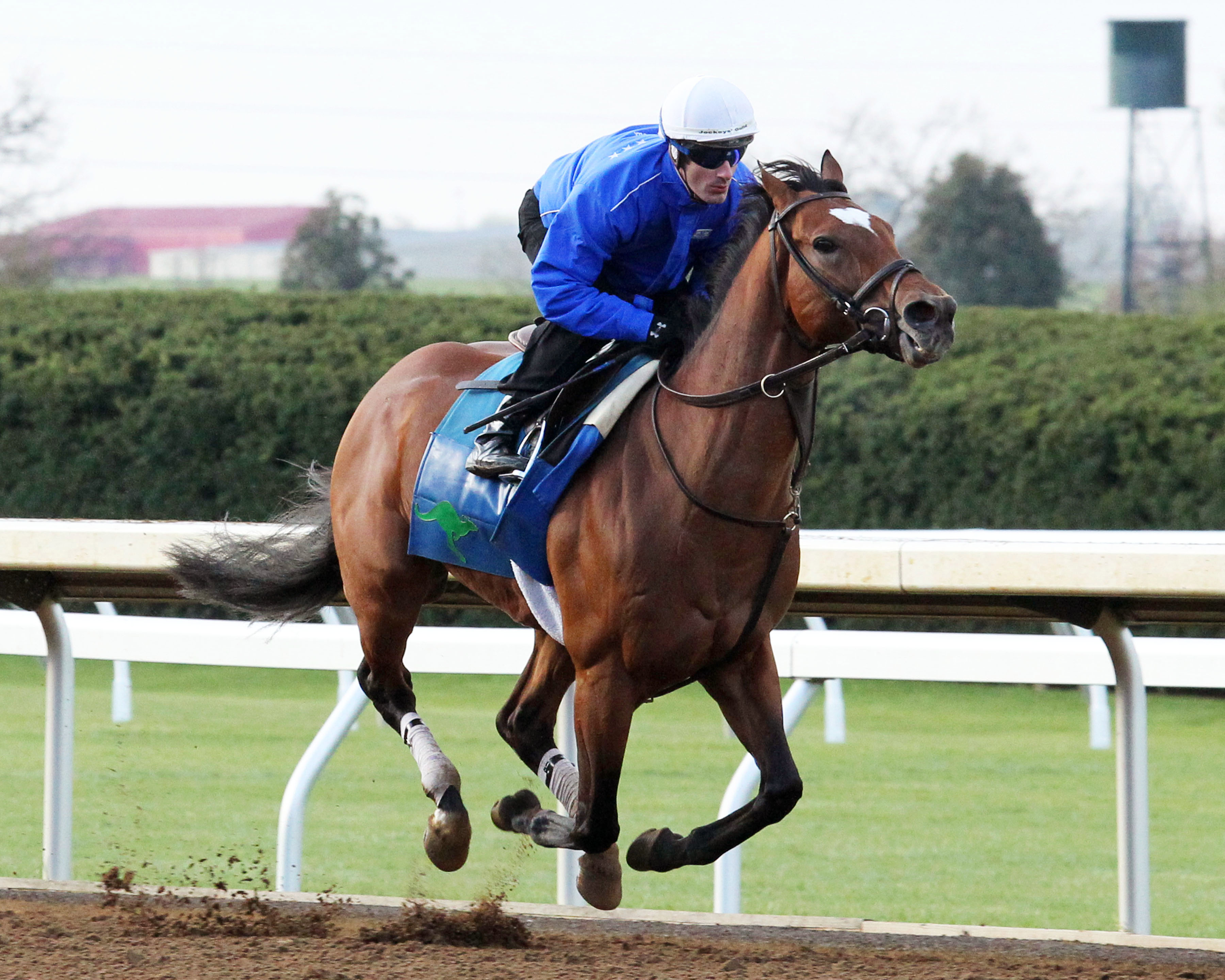 Heart to Heart at Keeneland on April 8