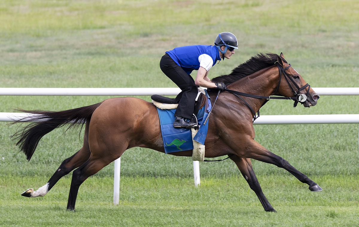 Heart to Heart trains at Saratoga on July 30