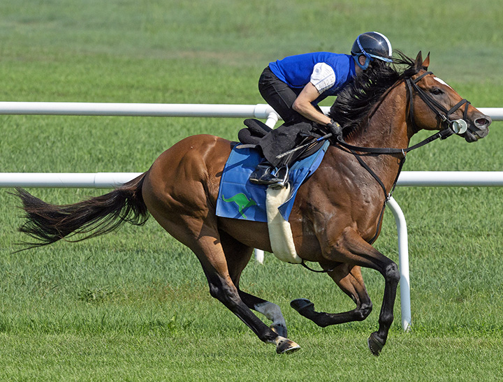 Heart to Heart trains at Saratoga on Aug. 6