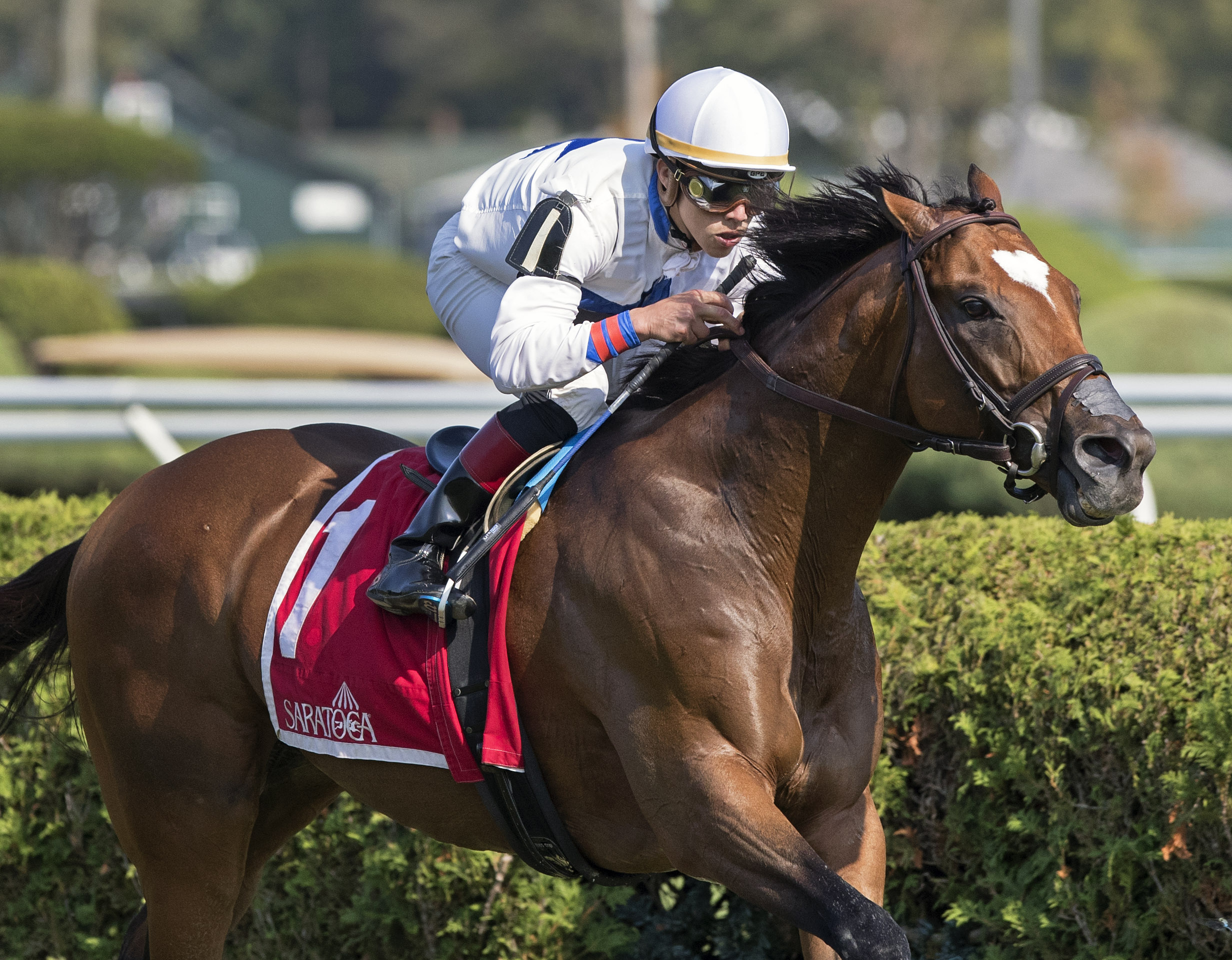 Heart to Heart wins the 2017 Bernard Baruch