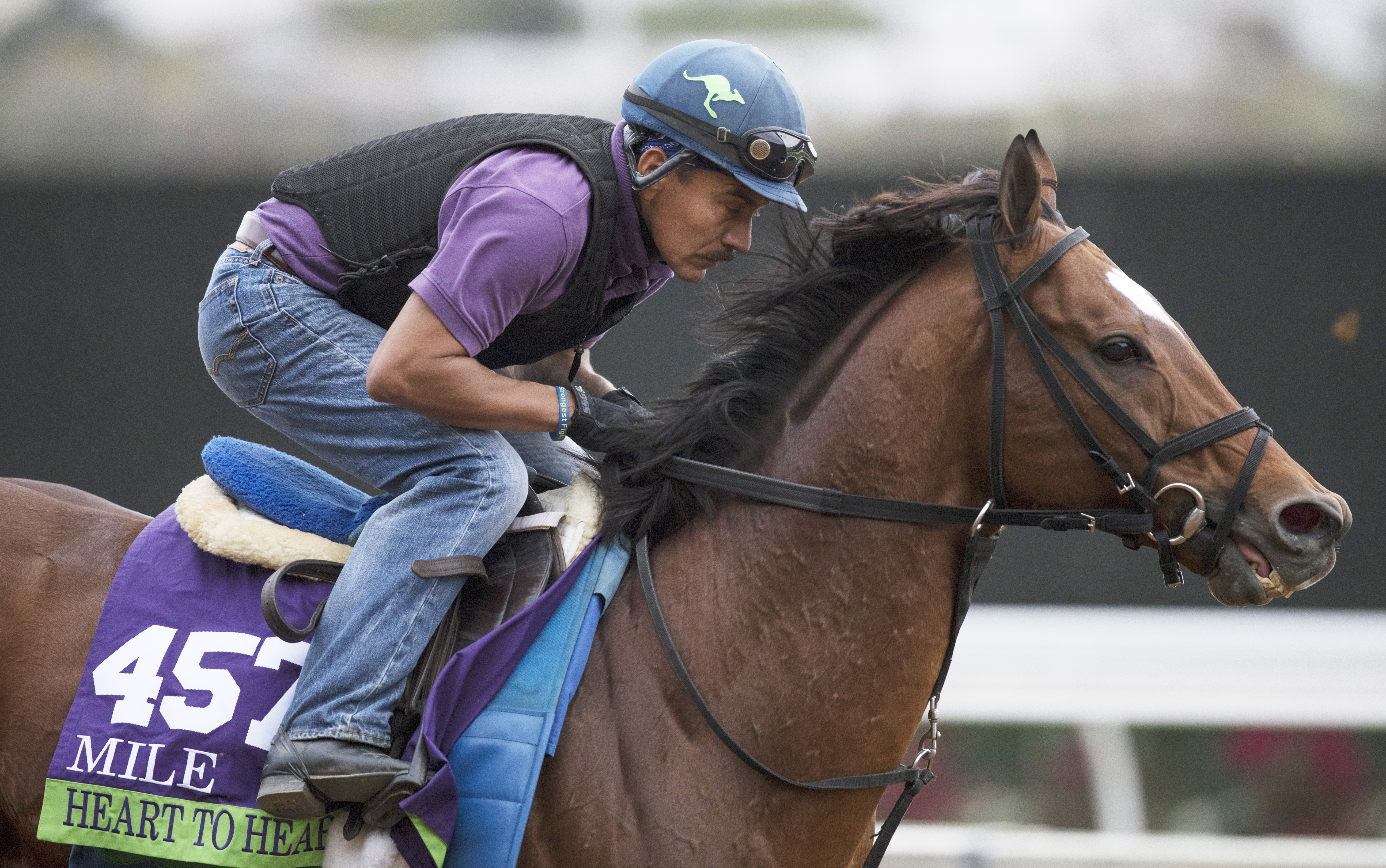 Heart to Heart trains for the Breeders Cup in October 2017