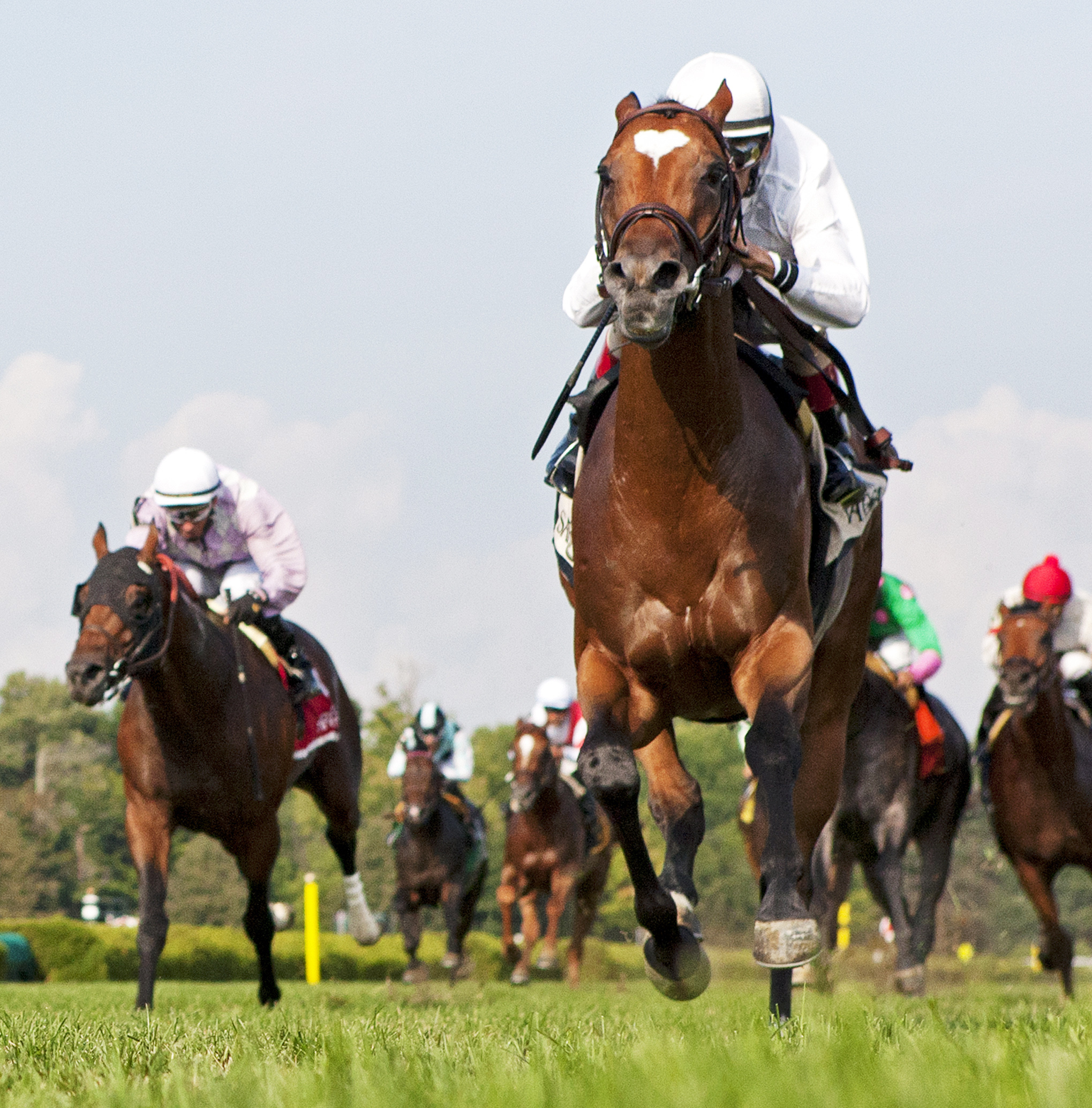 Heart to Heart wins the Better Talk Now Stakes