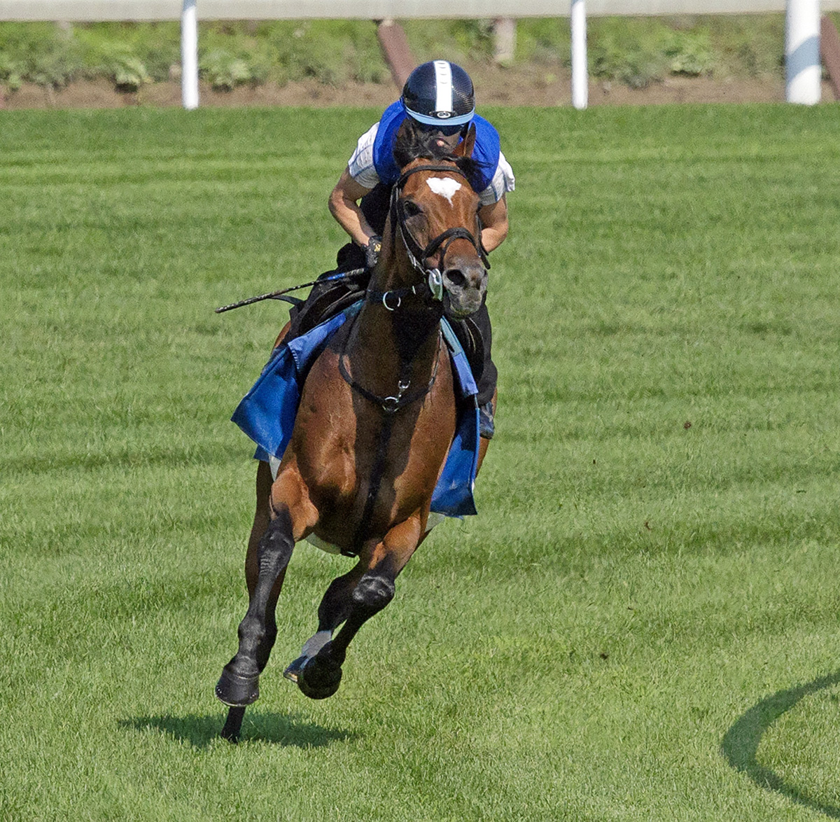 Heart to Heart trains at Saratoga on Aug. 6