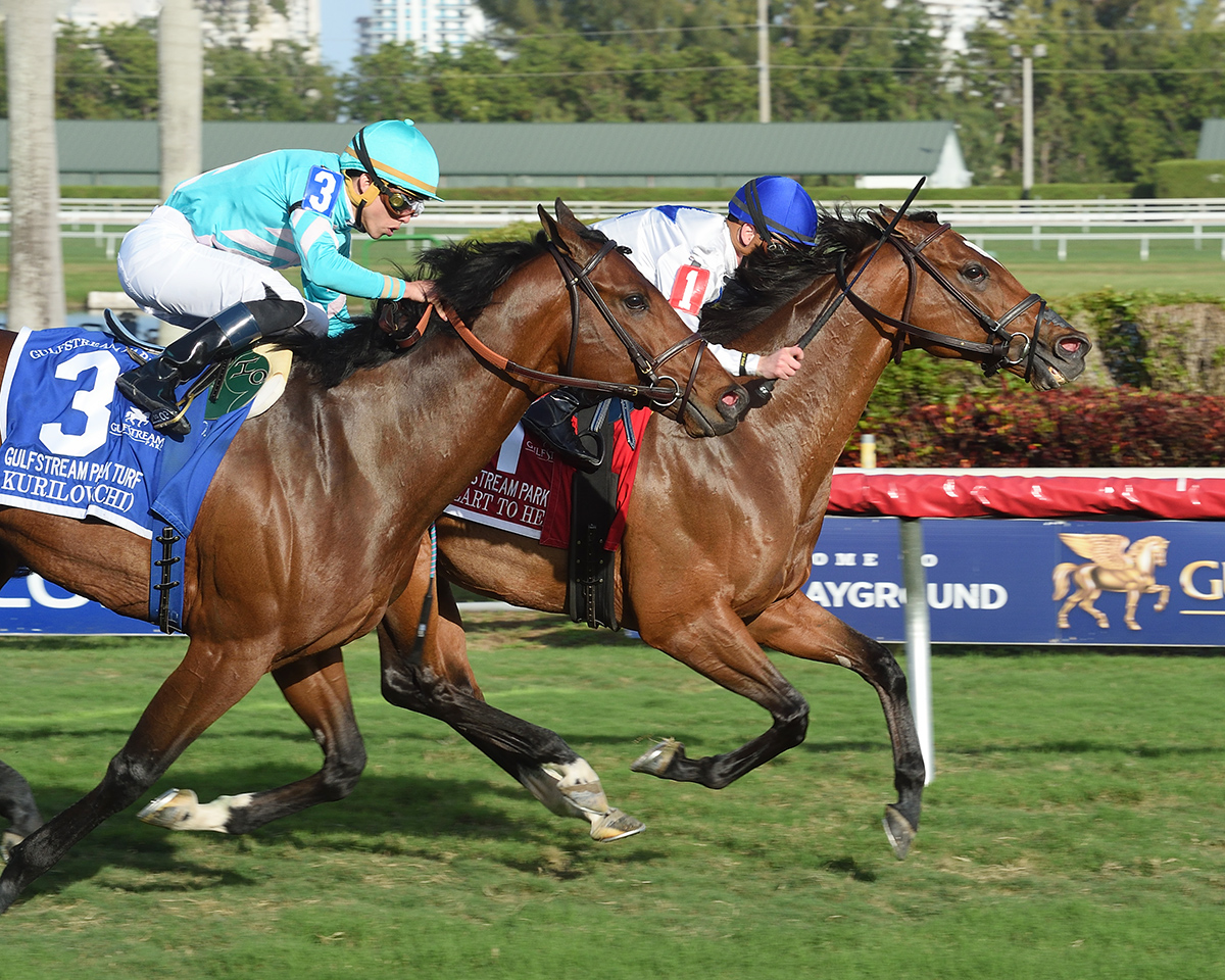 Kurilov finishes second in the 2018 Gulfstream Park Turf Stakes