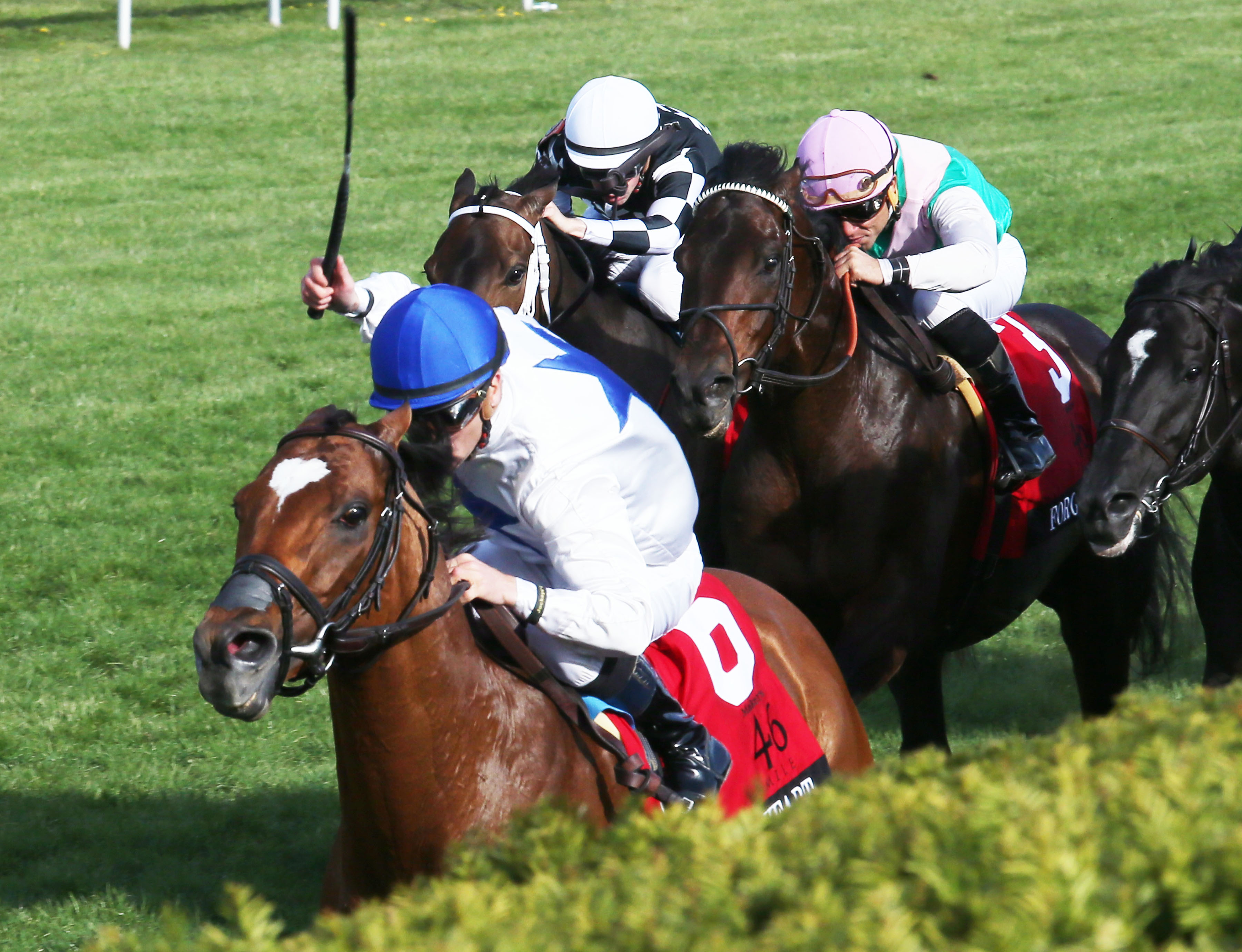Heart to Heart wins the Makers 46 Mile