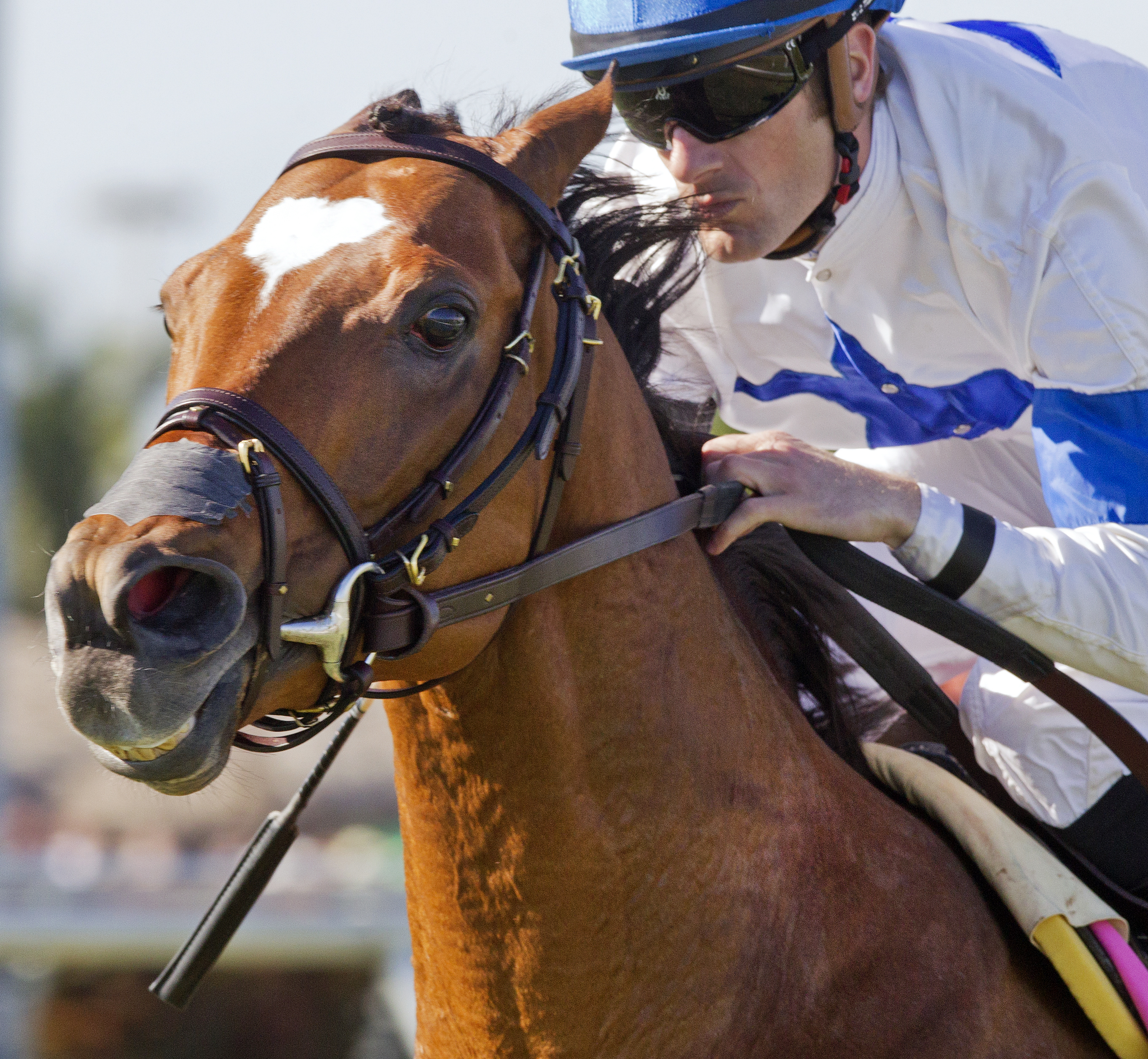 Heart to Heart wins the Canadian Turf Stakes
