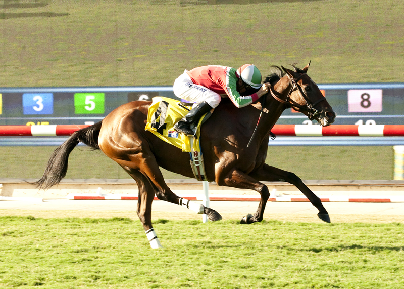 Heat Du Jour 8-17-2014
