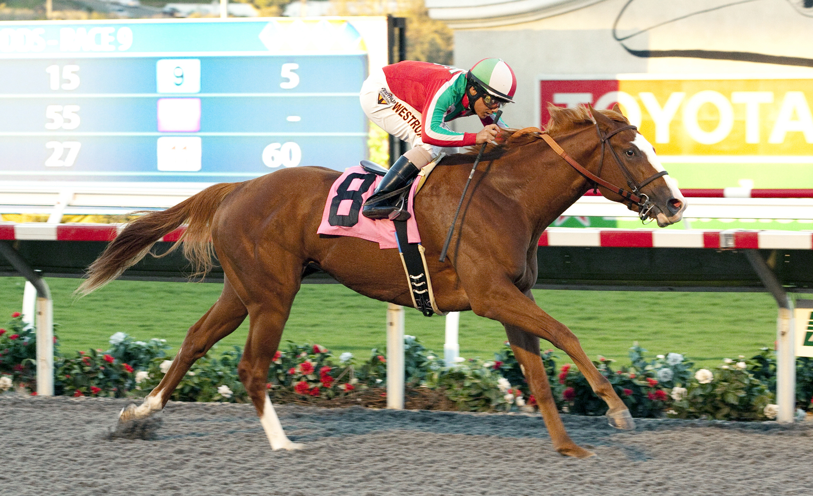 Heat the Rocks wins a maiden race