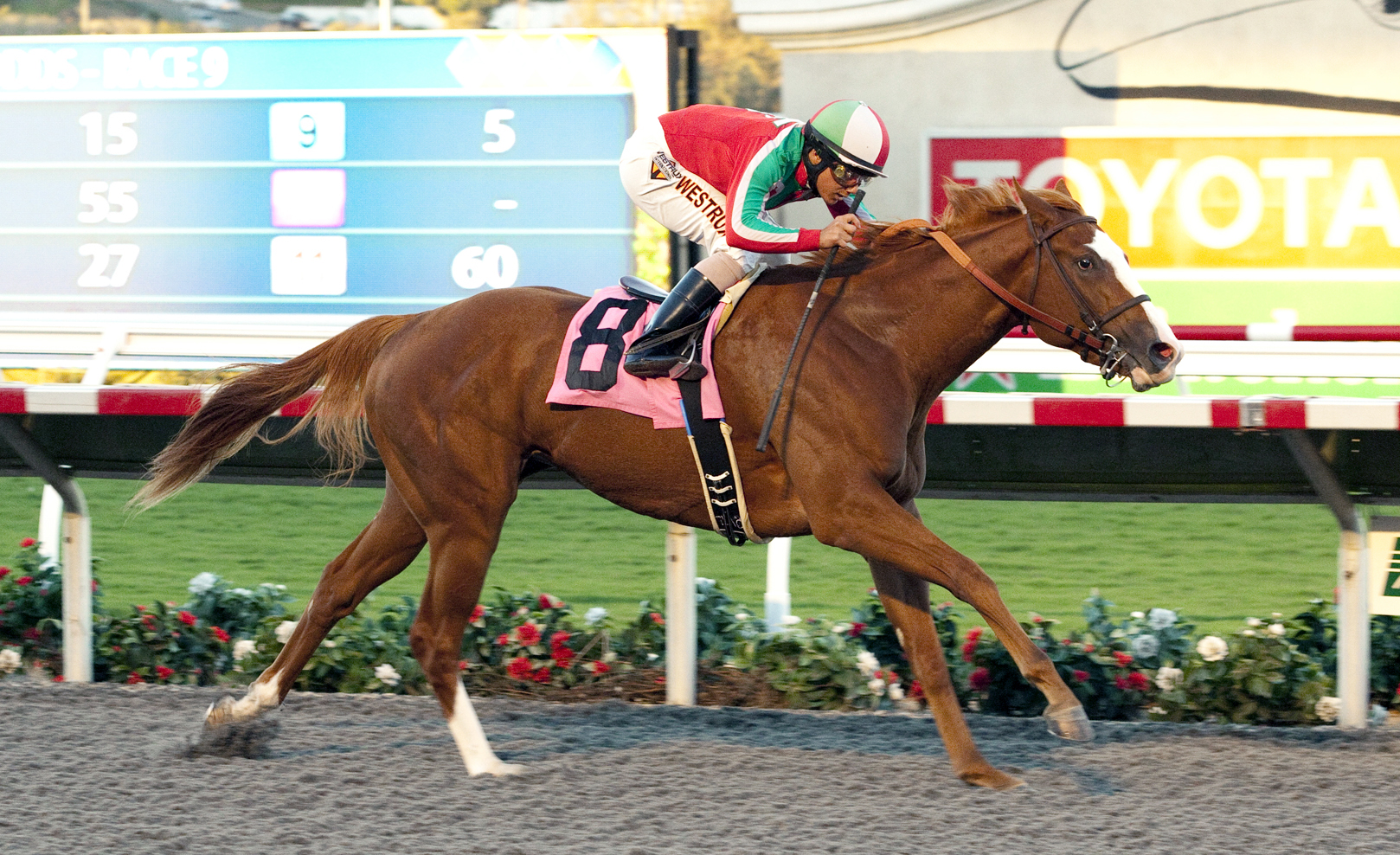 Heat the Rocks wins a maiden race