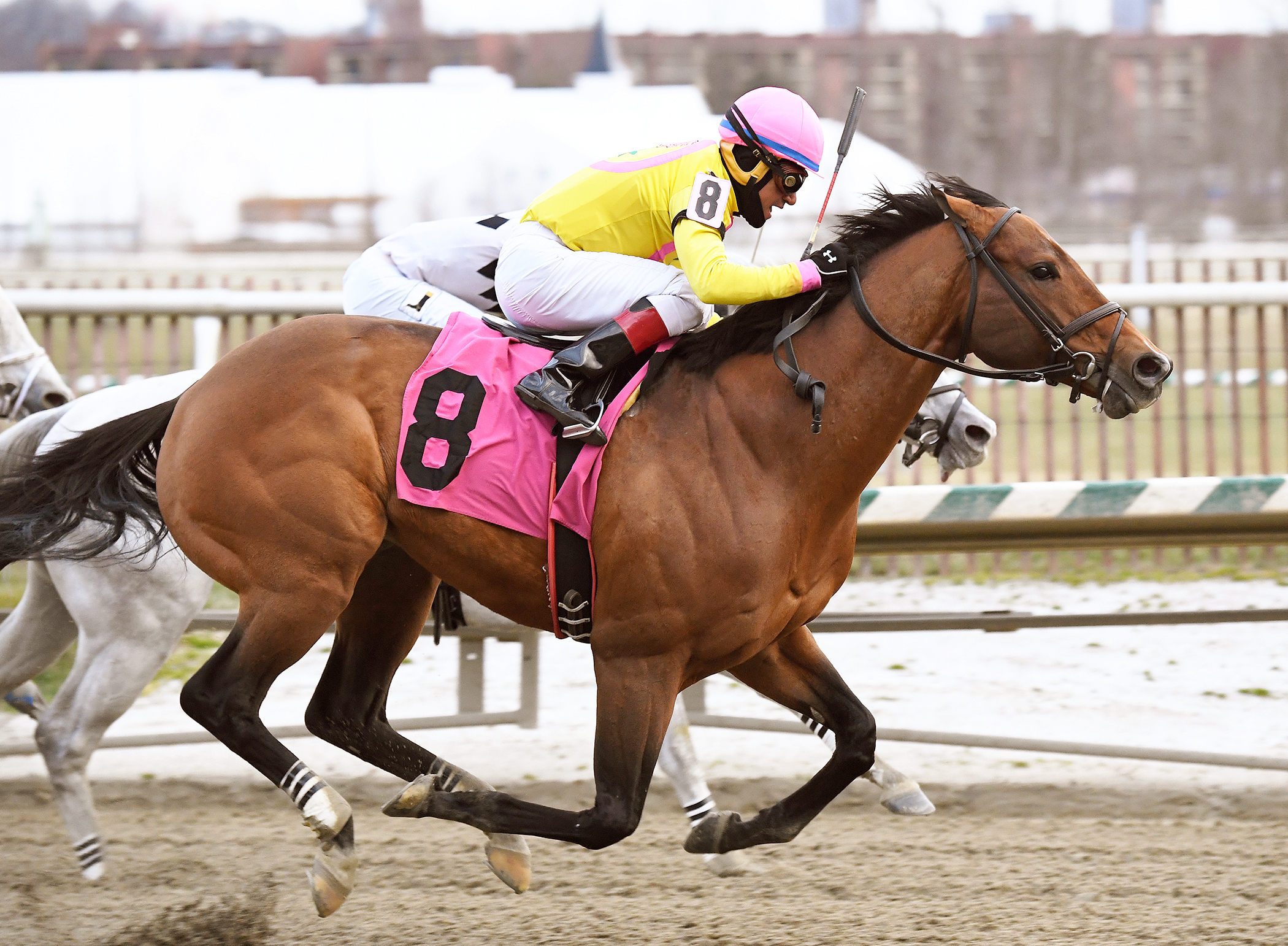 Heaven's Runway wins the Dave's Friend Stakes