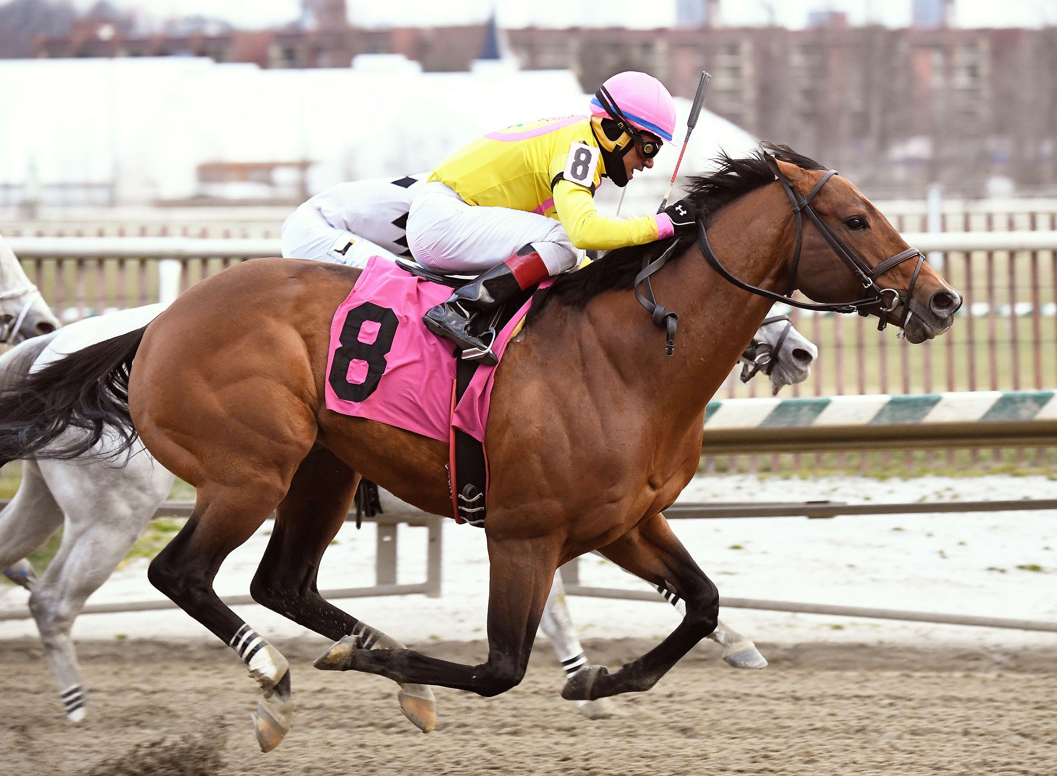 Heaven's Runway wins the Dave's Friend Stakes