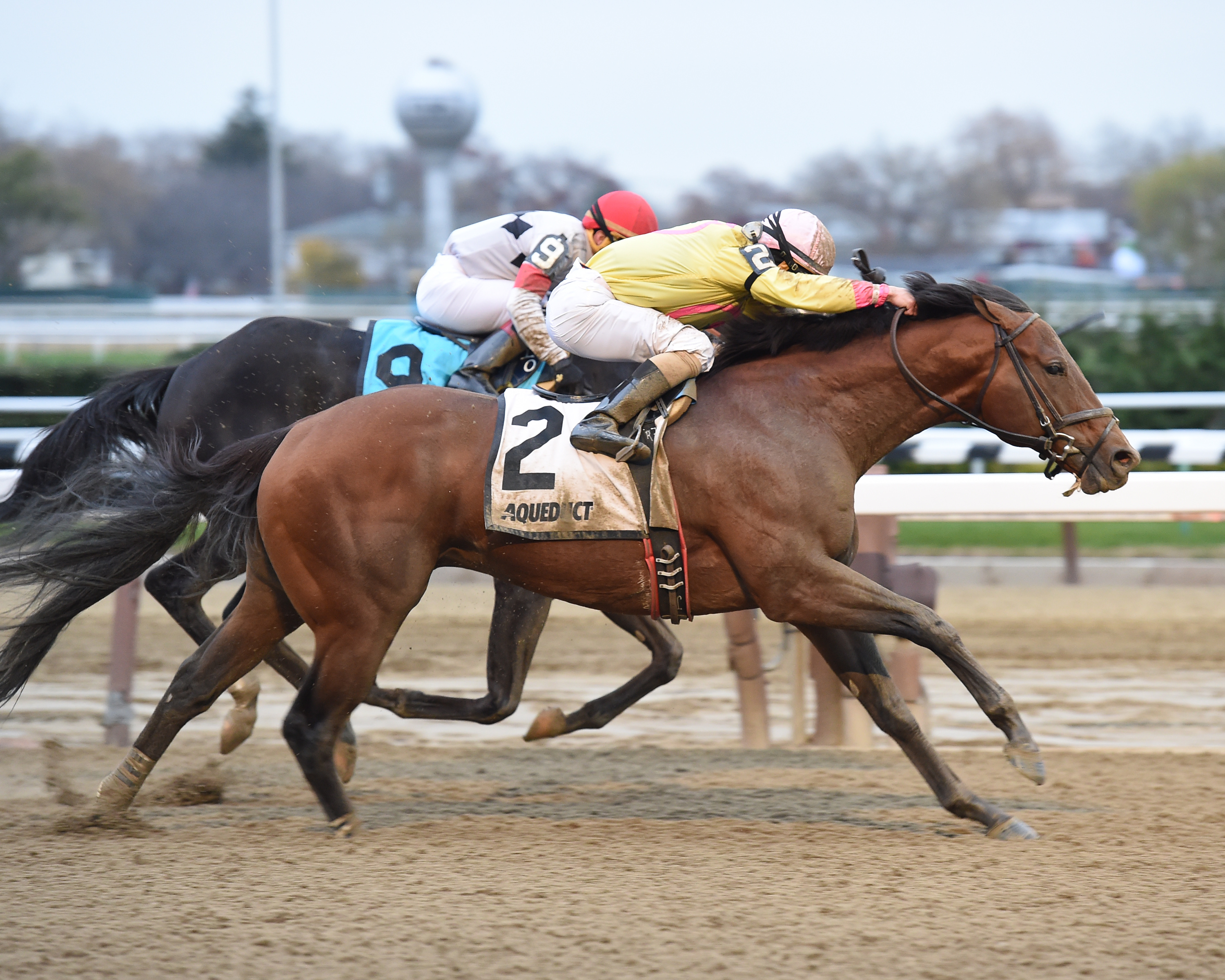 Heaven's Runway wins the Fall Highweight Handicap