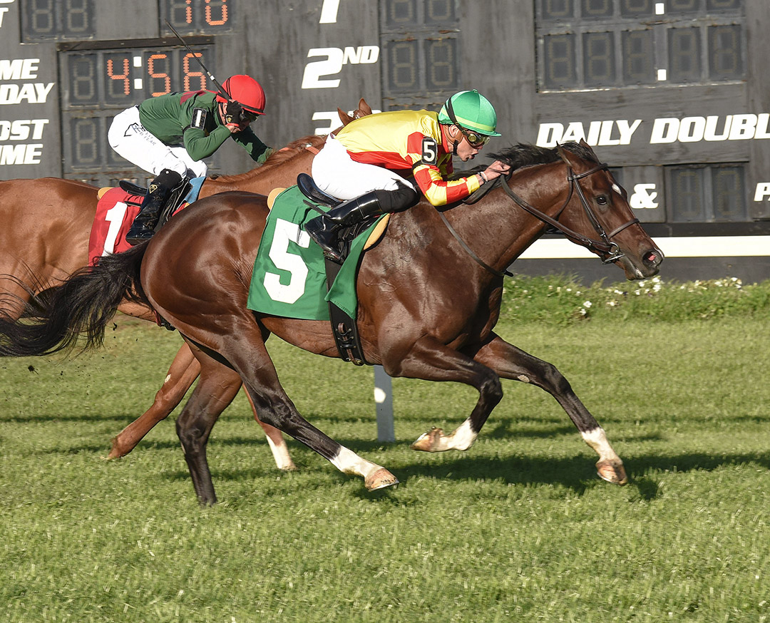 Heaven Street wins the 2022 Columbia Stakes at Tampa Bay Downs