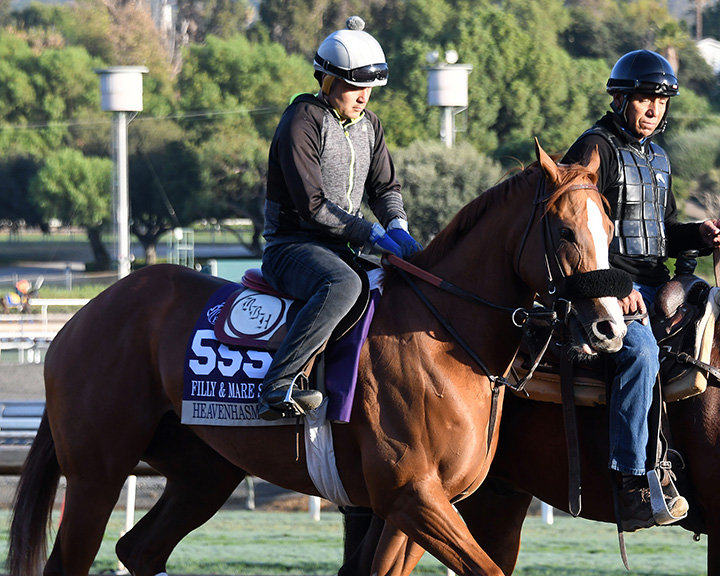 Heavenhasmynikki at Santa Anita Park in October 2019