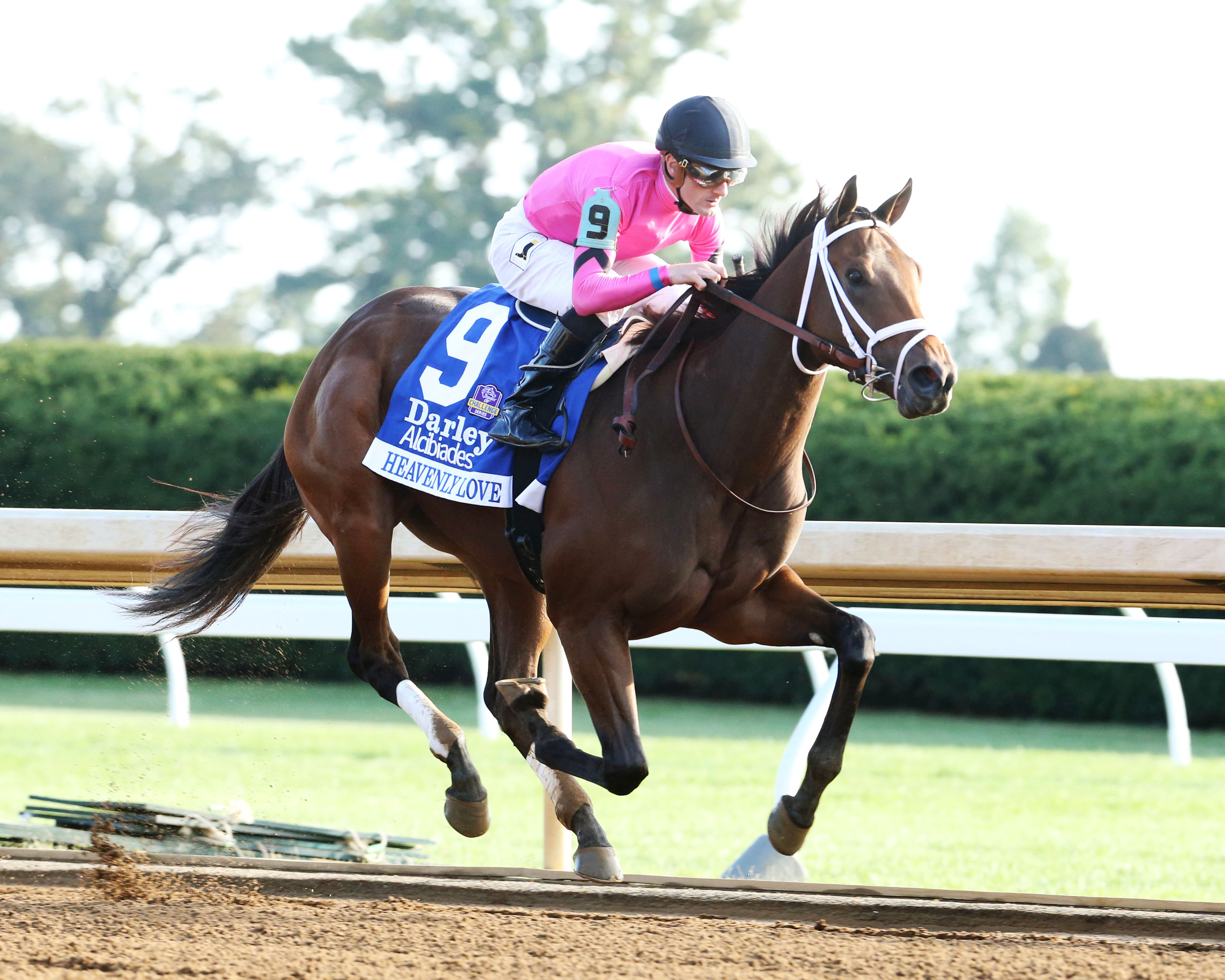 Heavenly Love wins the 2017 Alcibiades