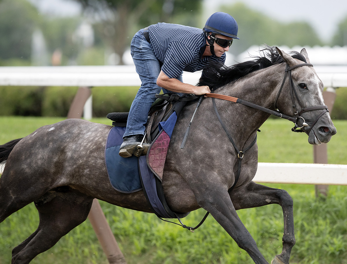 Heavenly Score trains at Saratoga on July 25