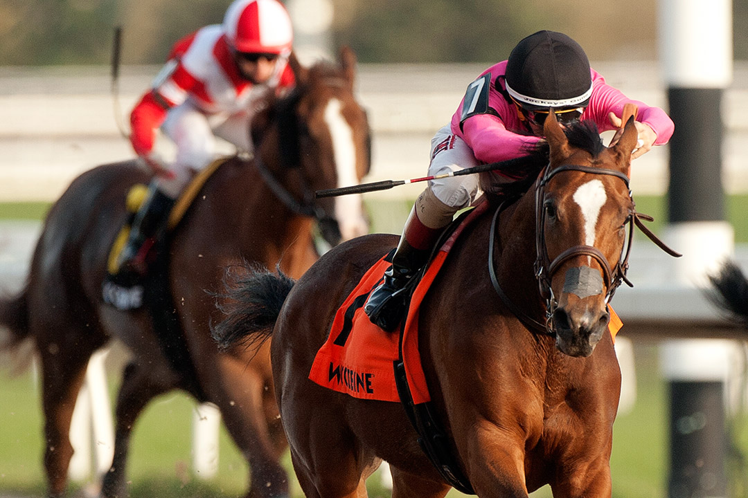 Heavenly Curlin wins the 2020 Maple Leaf Stakes at Keeneland Racecourse