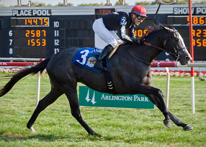 Heavens Whisper wins a 2017 maiden race at Arlington Park